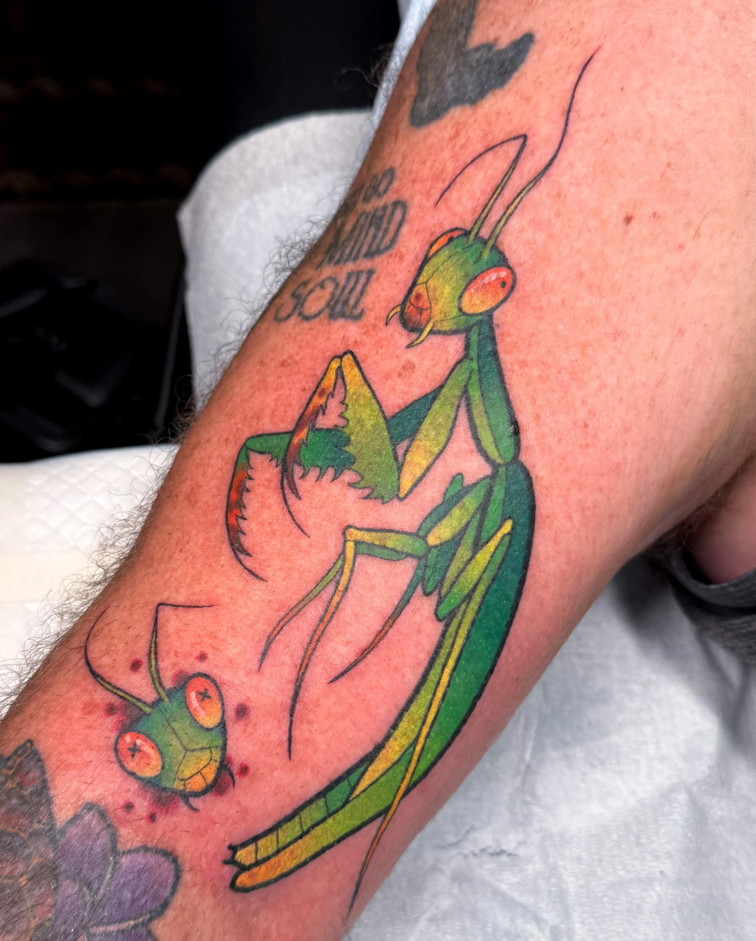 Big ol&rsquo; praying mantis on Billy &ndash; I love tattooing bugs!! 💚🪲 Thanks Billy!

#ohiotattooartist #cutetattoos #colortattoos #insectattoo #bugtattoo