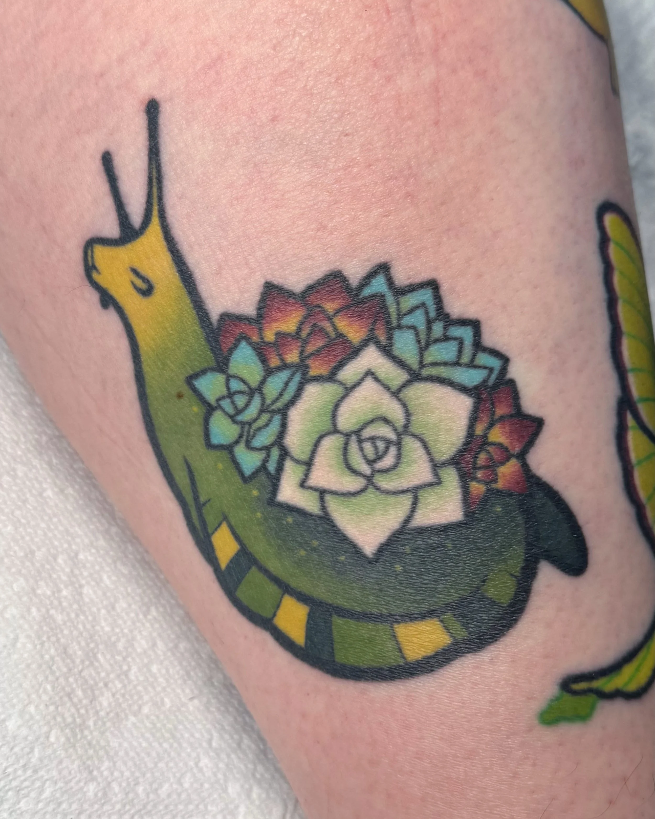 Some healed stuff on Sarah! 💕 I&rsquo;ve been tattooing her since before I moved to Ohio 😭💞

Caterpillar-moth: ~7 years
Tulip poplar blossom: ~3.5 years
Snellfren: ~3 years
Pigeon: ~2.5 years
Thundercloud: ~1 year

#ohiotattooartist #cutetattoos #