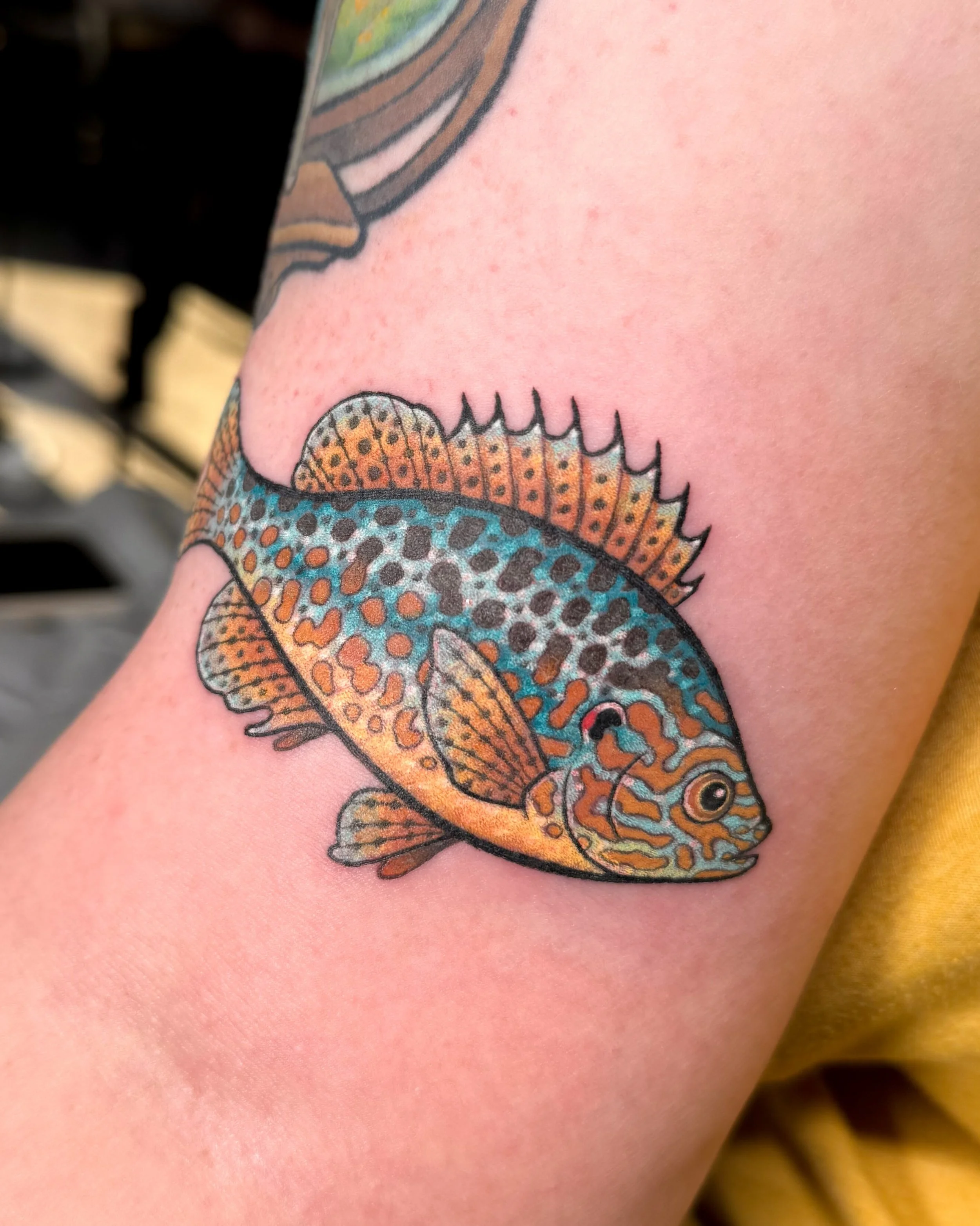 A pumpkinseed fish for Dorothy! This was probably one of the most challenging natural patterns I&rsquo;ve ever attempted to stylize but that&rsquo;s one of my fav challenges&mdash;and I love drawing/tattooing fish!! 😍😍 Thanks so much Dorothy! 🐟💕
