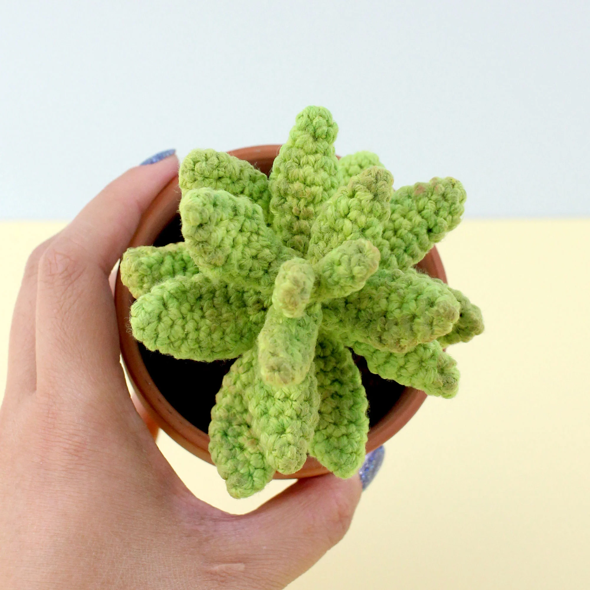 succ01.jpg