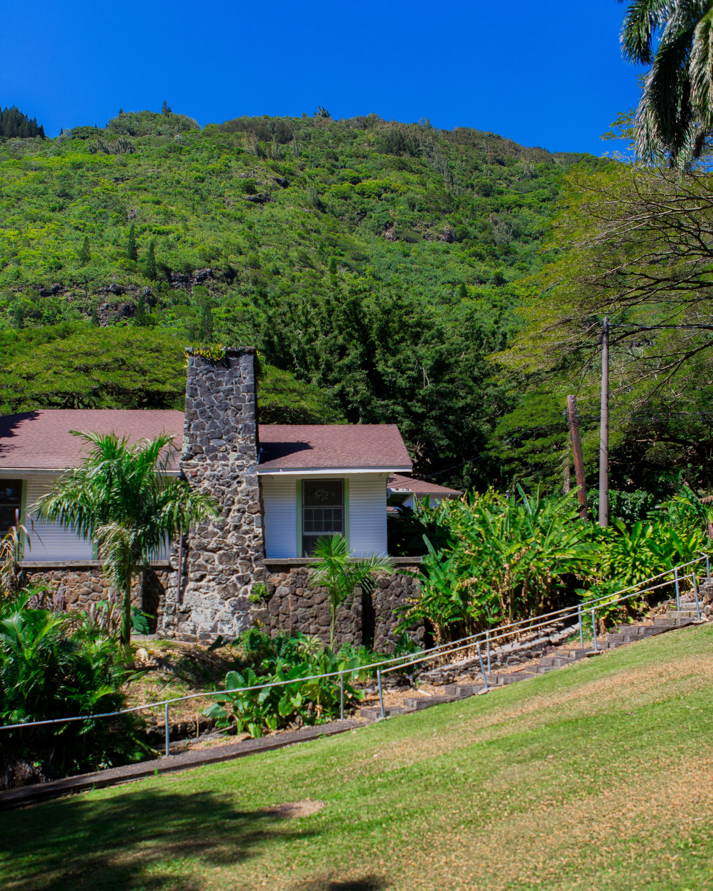 20190205-PONO0047.jpg