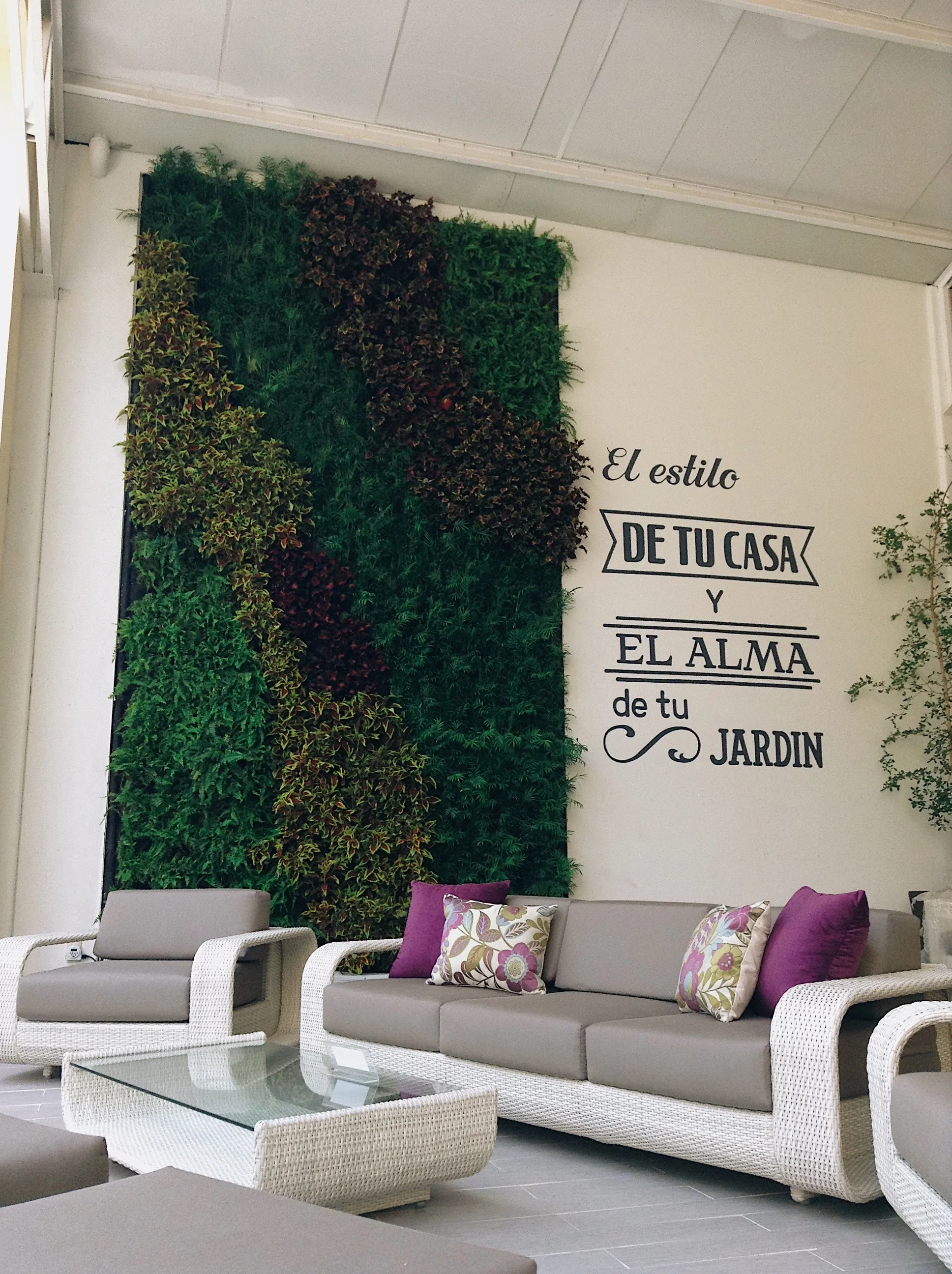 Rattan, Guadalajara, Jal.