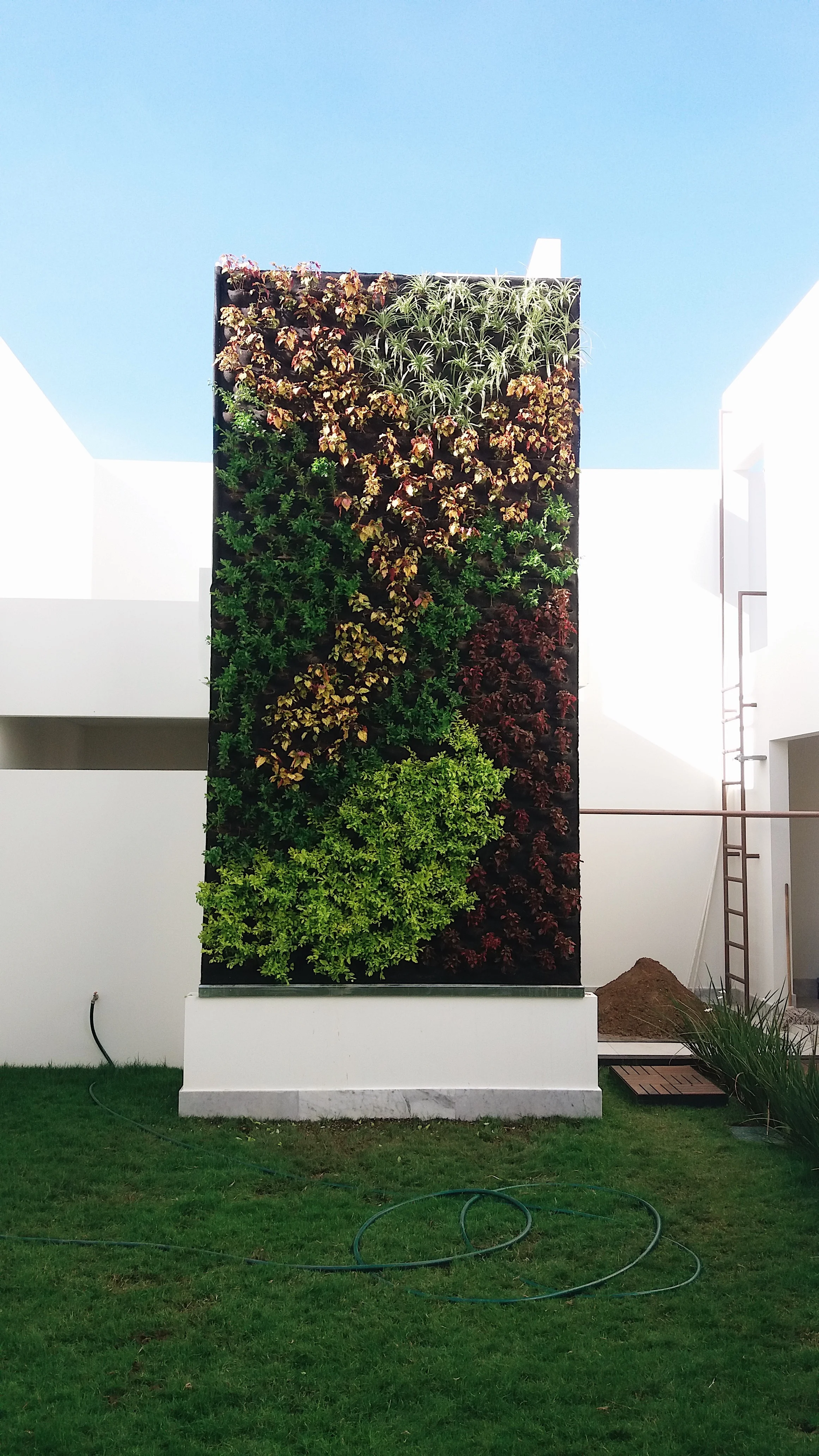 Casa Habitación, Ocotlan, Jal.