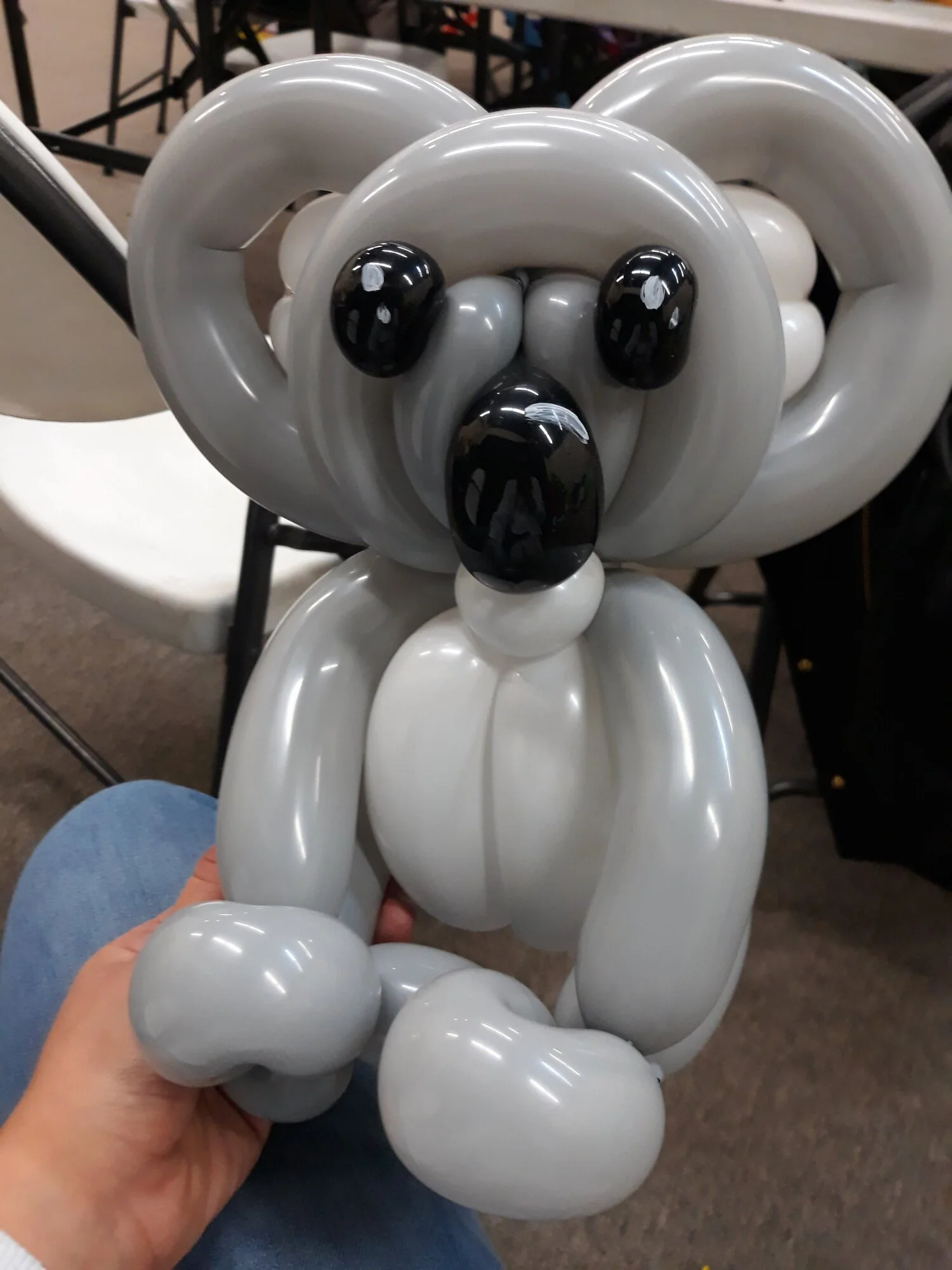 Koala.jpg