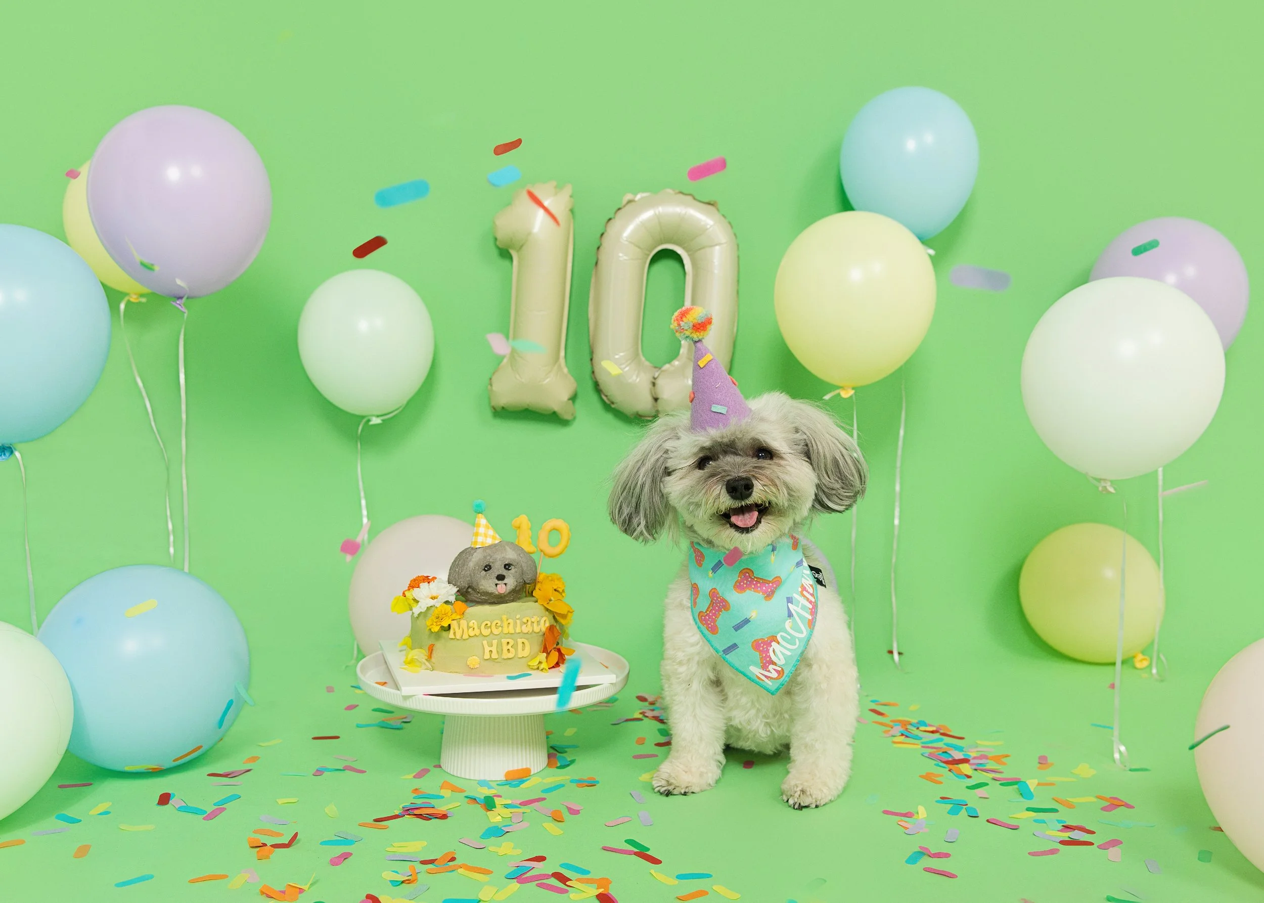 022026_Macchiato26455 webs2.jpg