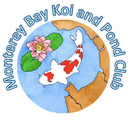 Monterey-Bay-Koi-Pond-logo.png