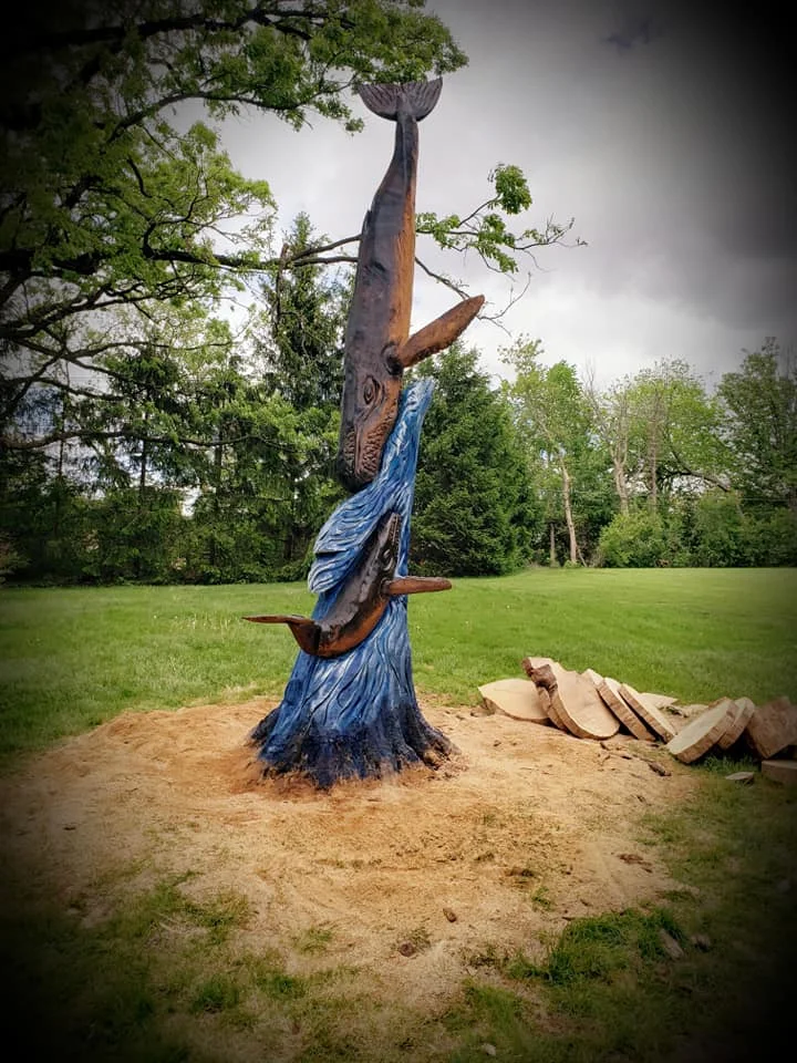 61438792_2077363209039281_6170840759843946496_n (1).jpg