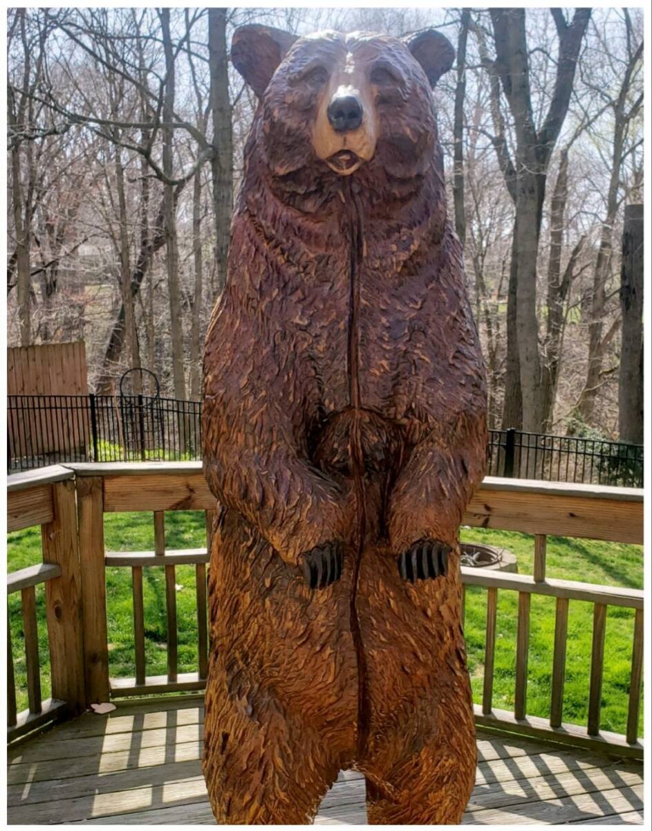 stand up Bear.jpg
