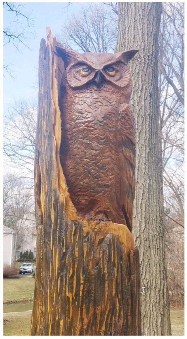 owl in stump.jpg