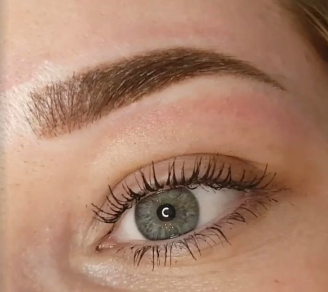 Screen Shot 2019-02-20 at 9.30.22 AM.png