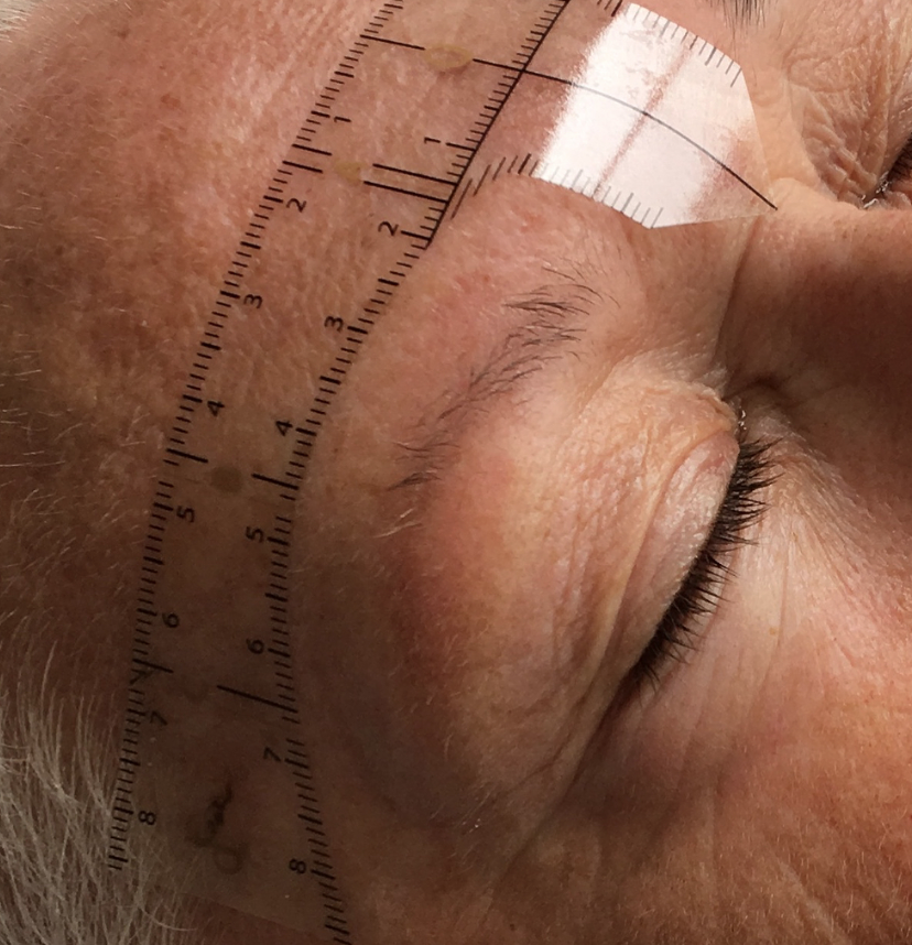 Screen Shot 2019-02-20 at 9.44.44 AM.png