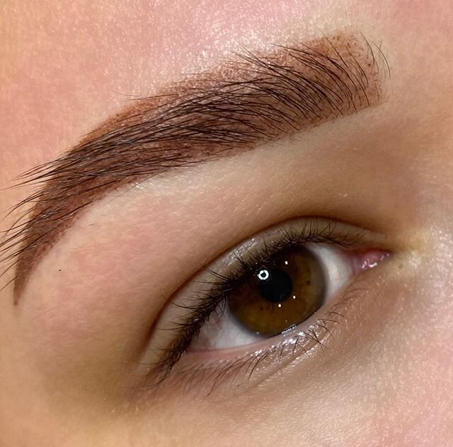 New Ombr&eacute; Brows for @_finding_jess_ Great to have you in today Jess and what an amazing result. Look forward to seeing you in 4-6 weeks. I used @permablend_pigments in Dark Brows with 2 x drops of Bold Brown. This colour will heal cooler #ombr