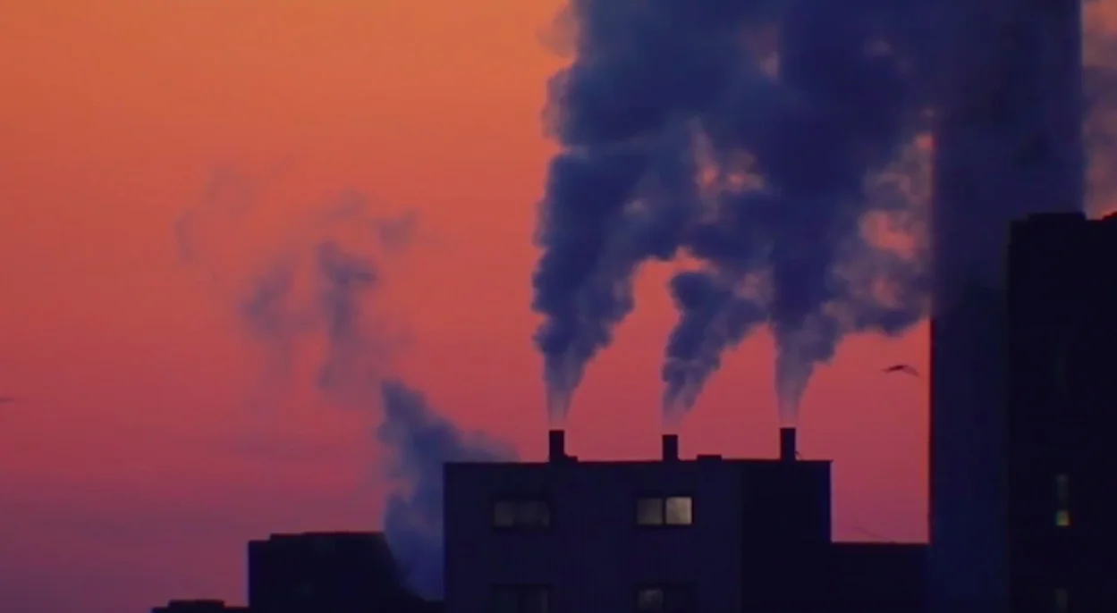 Screen Shot org factory.jpg