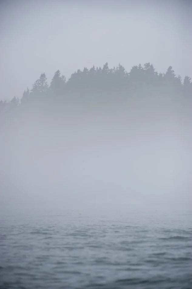 Embracing the grey zone