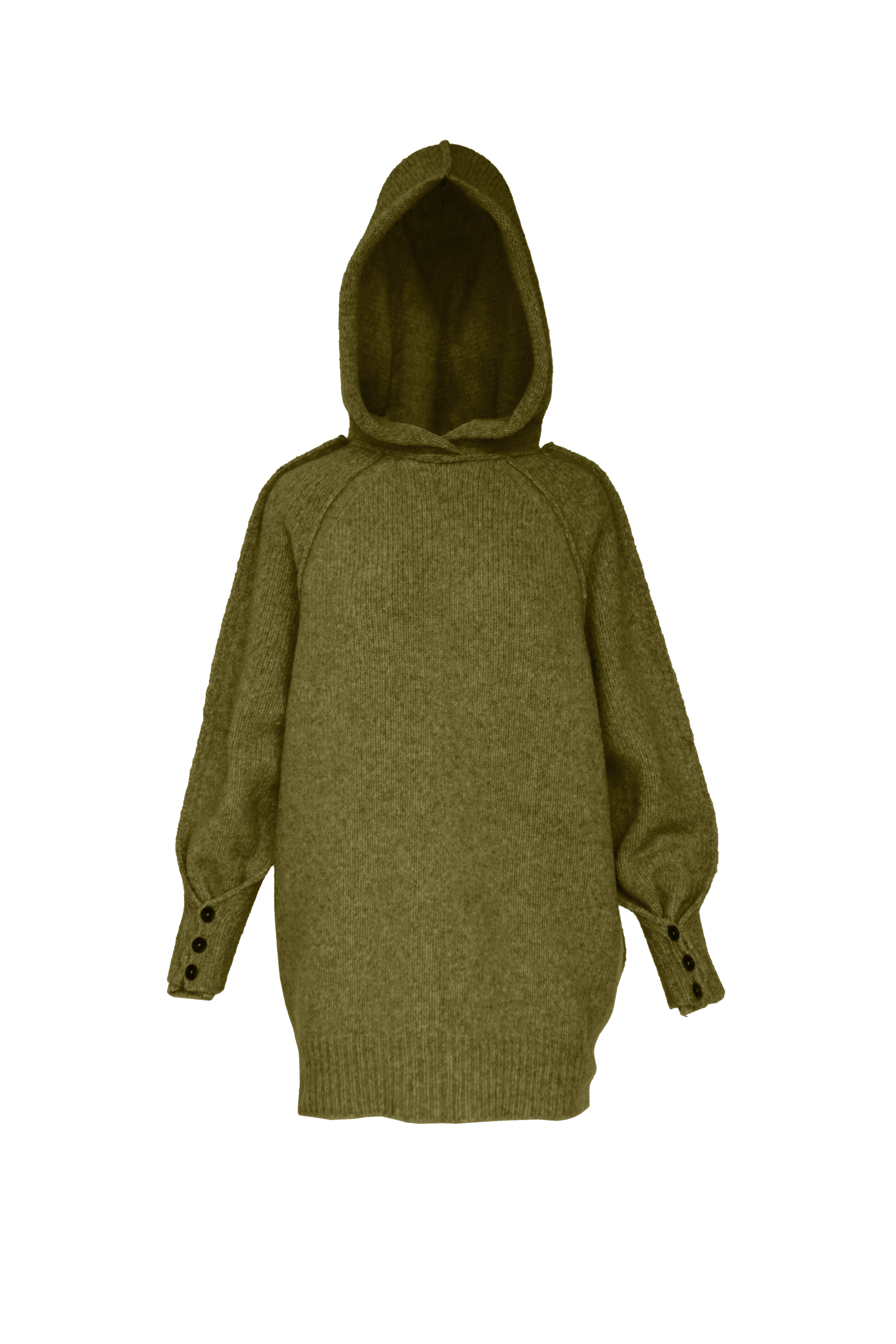 AC2600 Hoodie Dress buttoned_moss_1.png