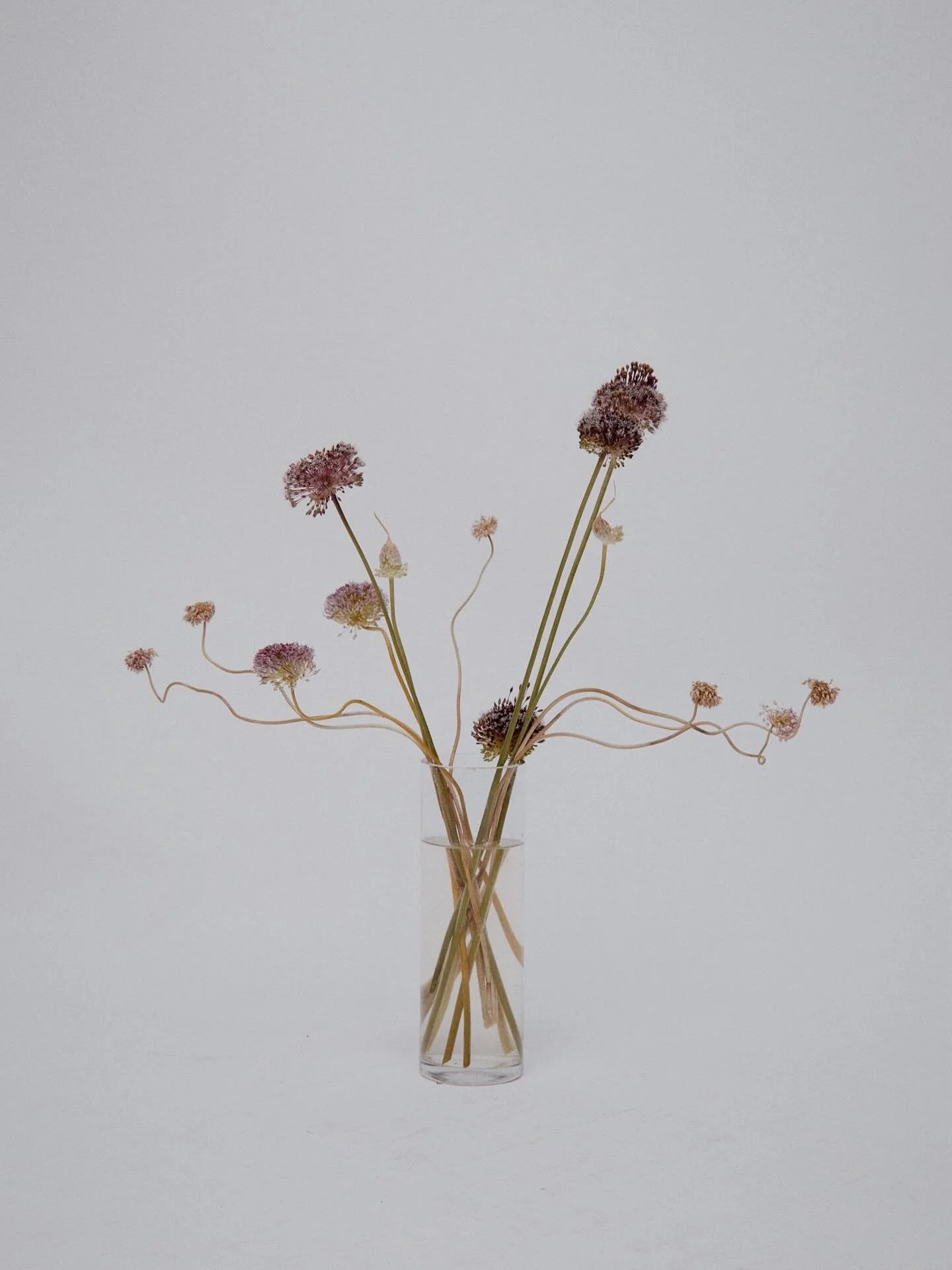 Nature is always the inspiration