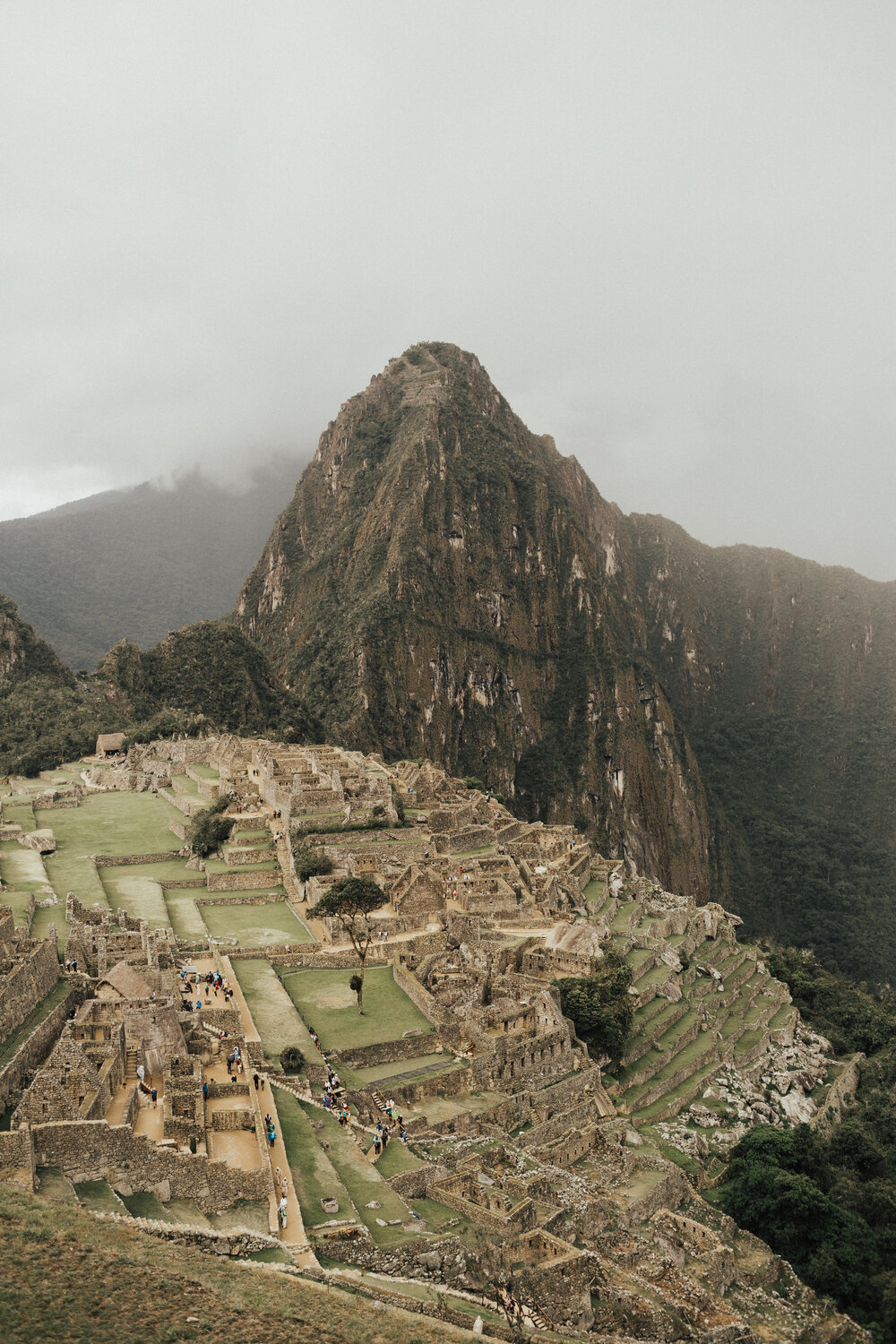 Machu Picchu — Desert Pine Co