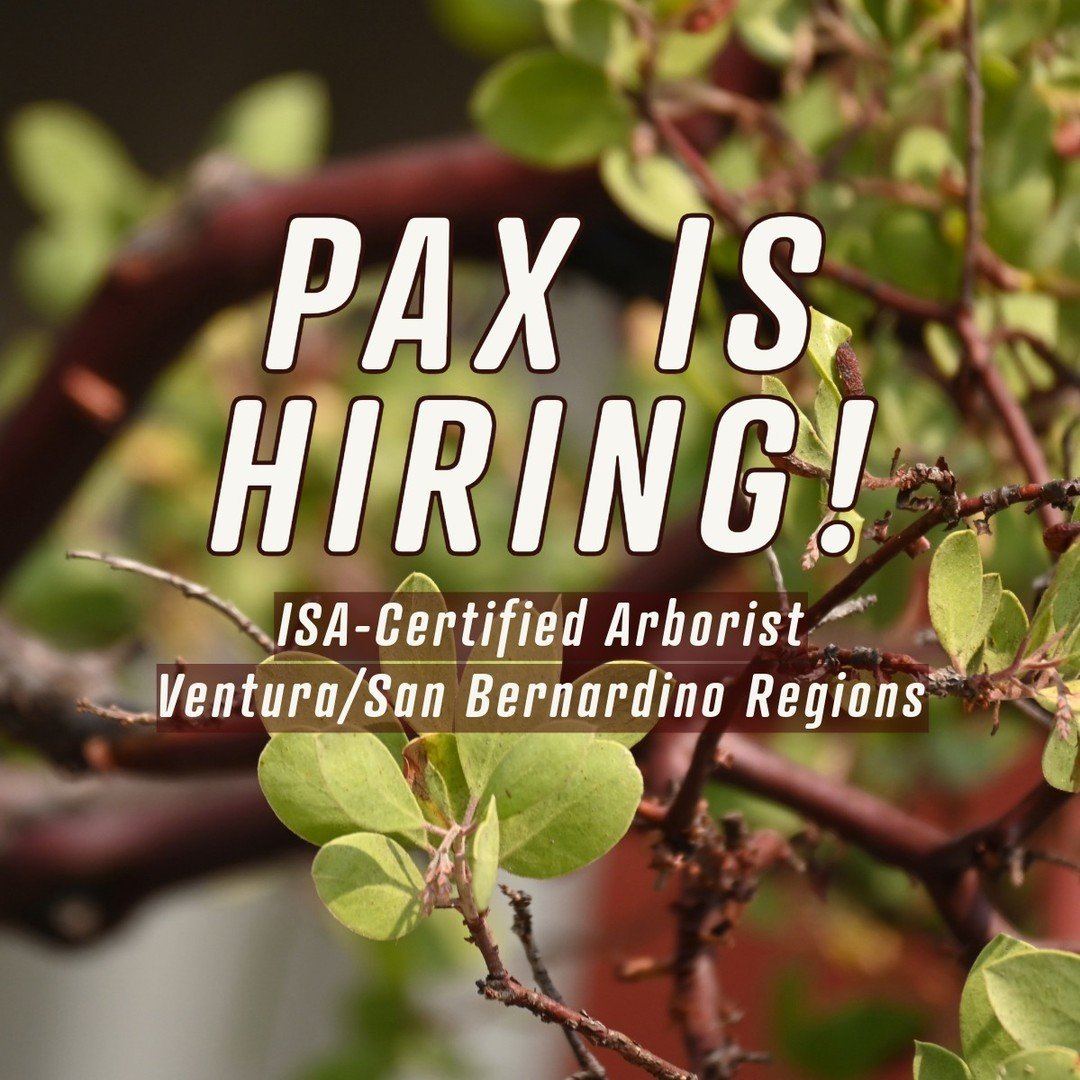 Pax is currently hiring a qualified ISA Certified Arborist in the Ventura and San Bernardino regions to join our rapidly growing team. Interested candidates can review the position job description and find out how to apply by visiting the link in our