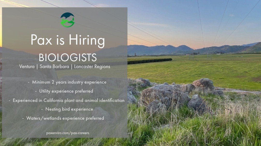 Pax is currently hiring qualified Biologists in the Ventura, Santa Barbara, and Lancaster regions to join our rapidly growing team. Interested candidates can review the position job description and find out how to apply by visiting the link in our bi