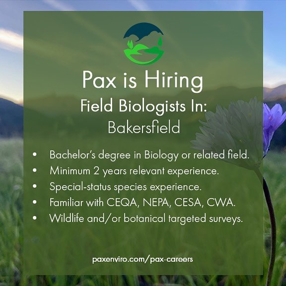 🌿Can you feel it? Springtime is upon us! 🦎🌸Pax is now interviewing and hiring field-based biologists who are based in and around the Bakersfield/Tehachapi area! ☀️If you&rsquo;re an experienced biologist looking for a position with an awesome team