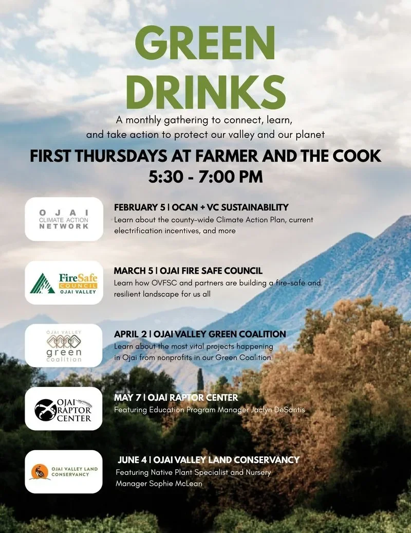 Pax Sustainability Update - March 2026