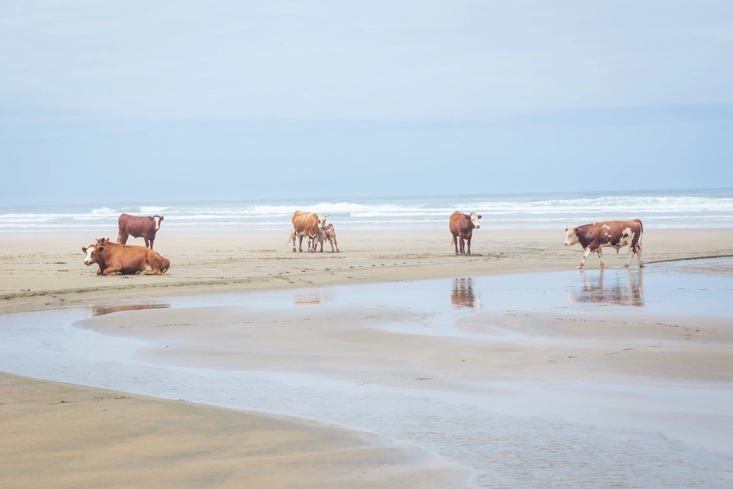Agriculture:  Are Stockponds Considered a Water Diversion?