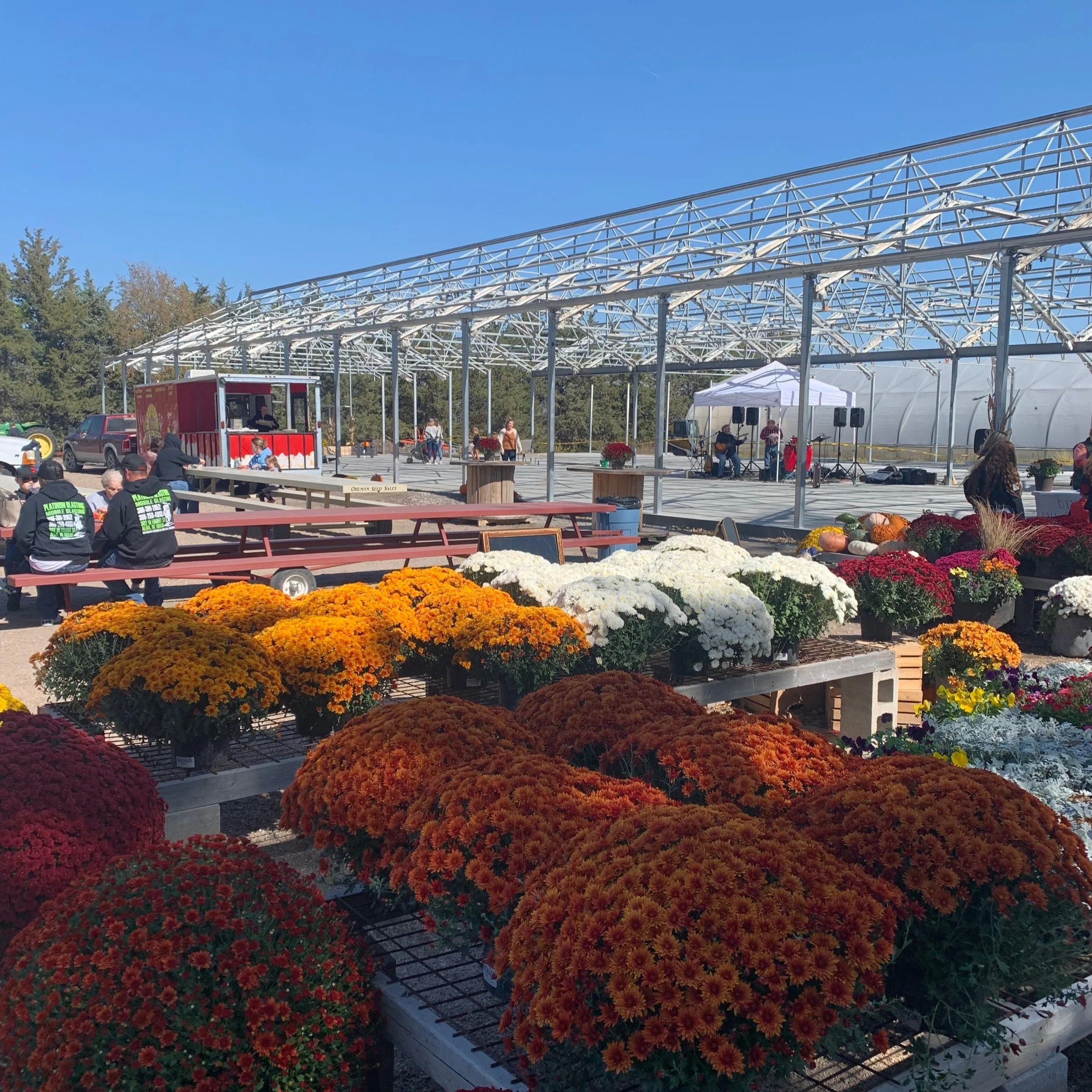 Wild Roots Fall Festival — Wild Roots Greenhouse & Market