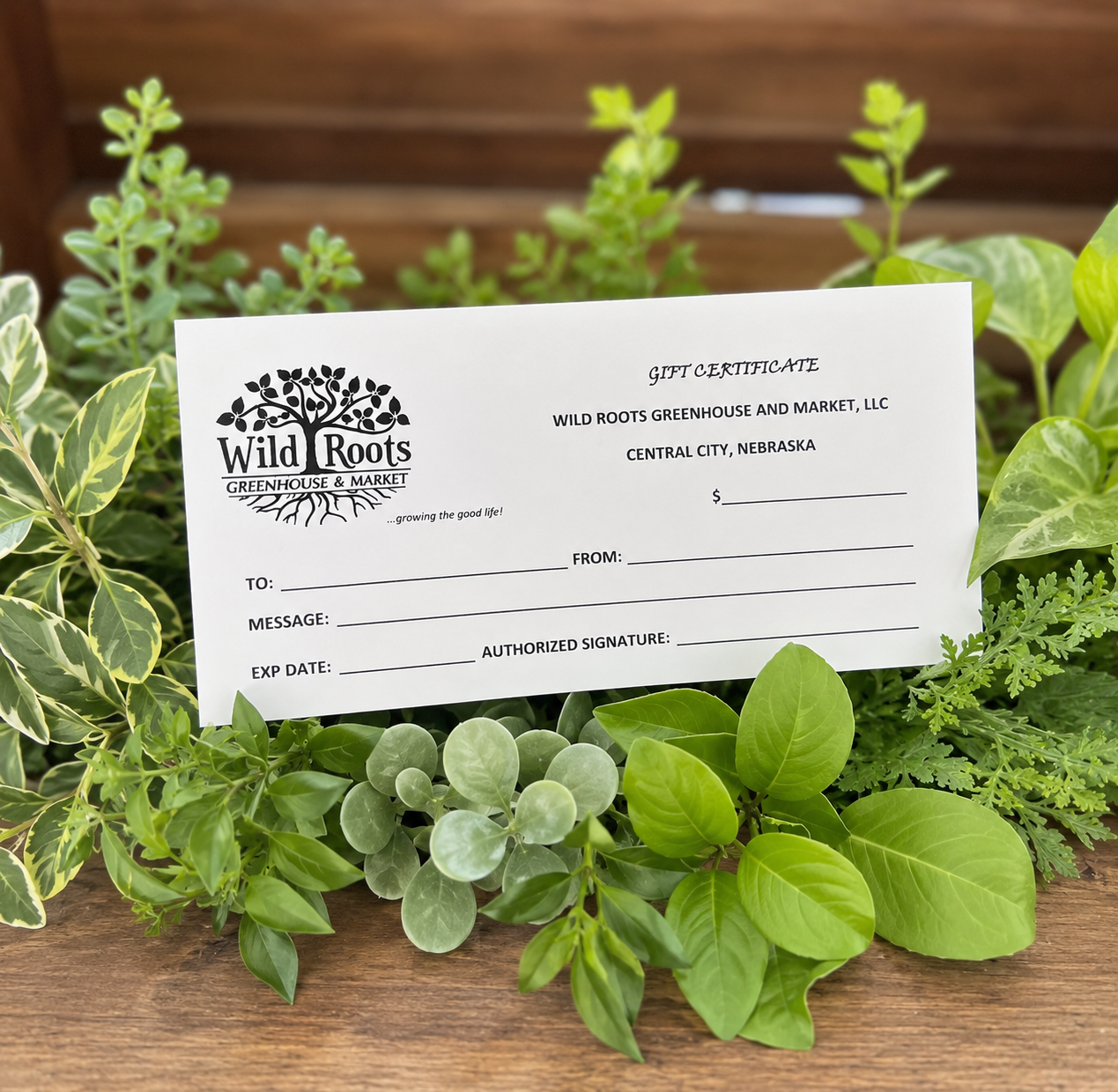 Gift Certificate