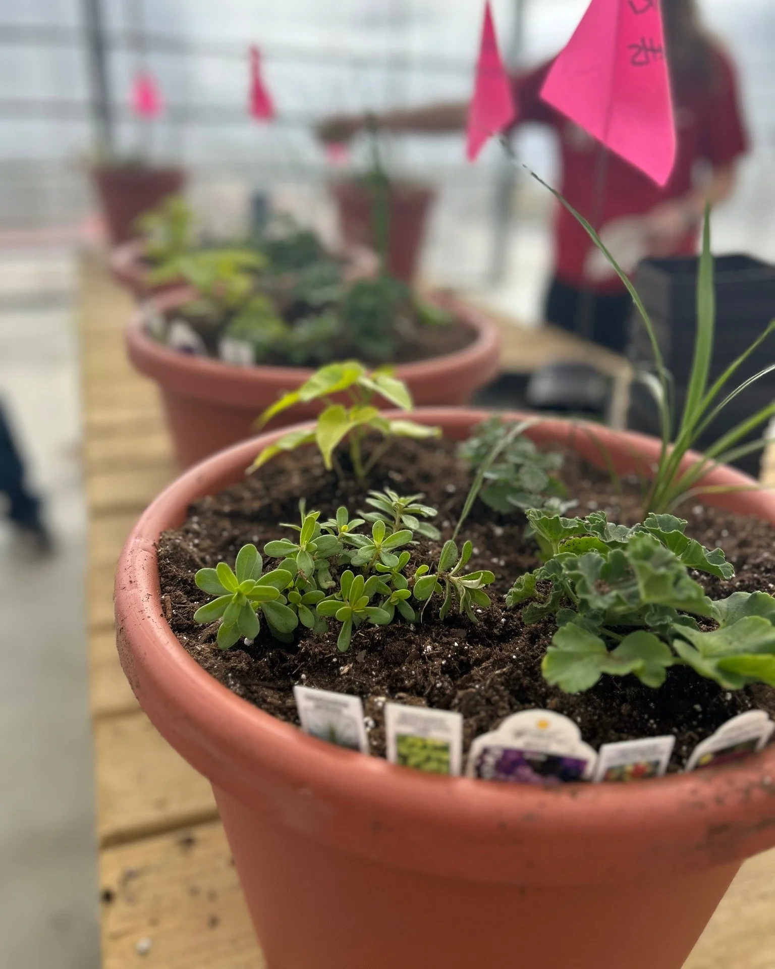 Design Your Own Planter Workshop