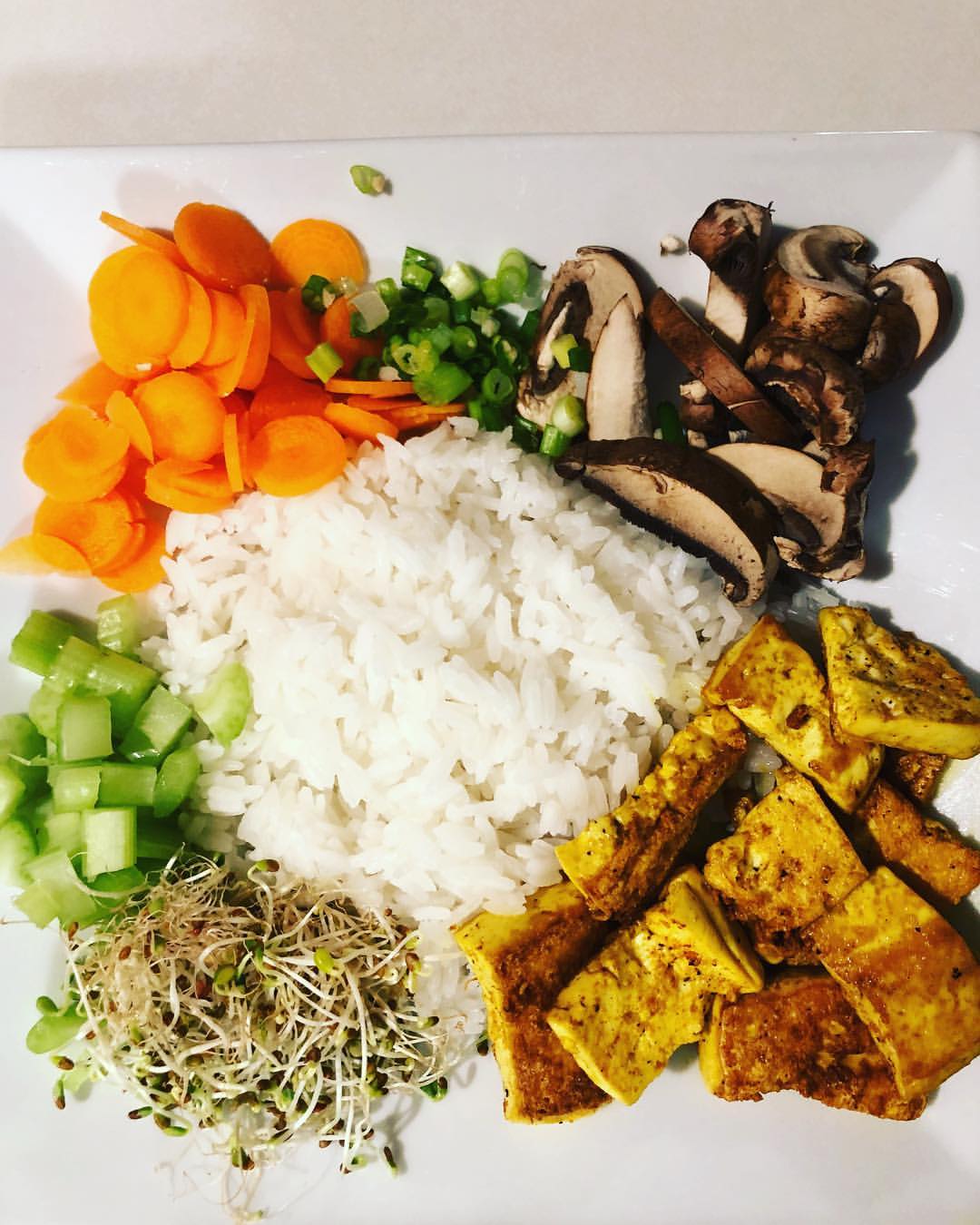 rice&tofu.jpg