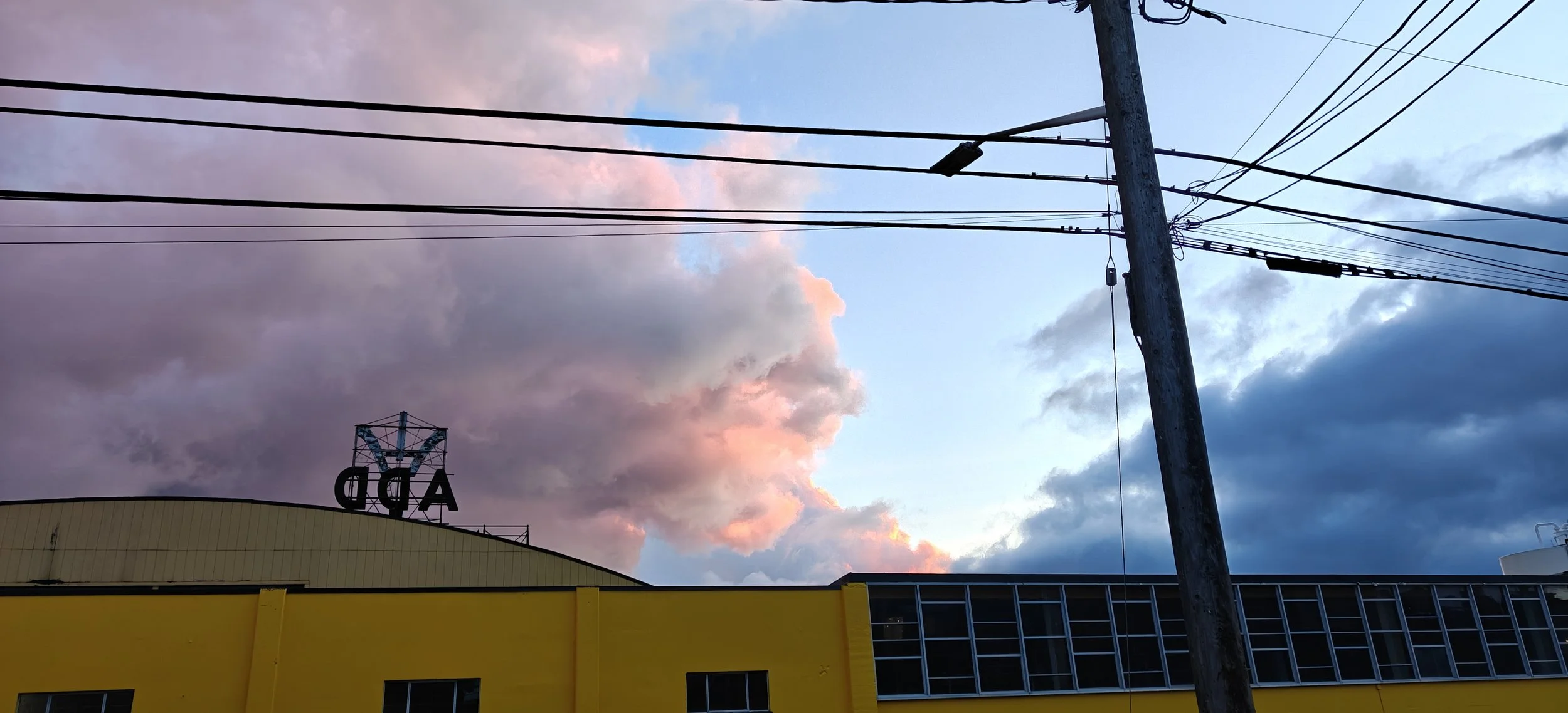 IMG20251124162214.jpg