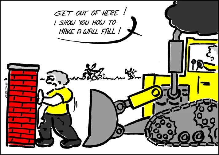 2138-make a wall fall100.jpg