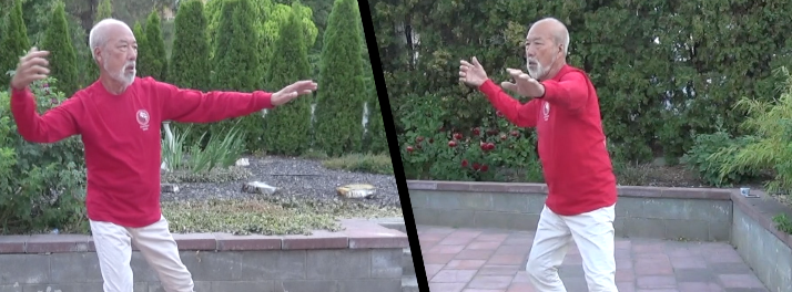 17 Moves — Vision of Master Moy