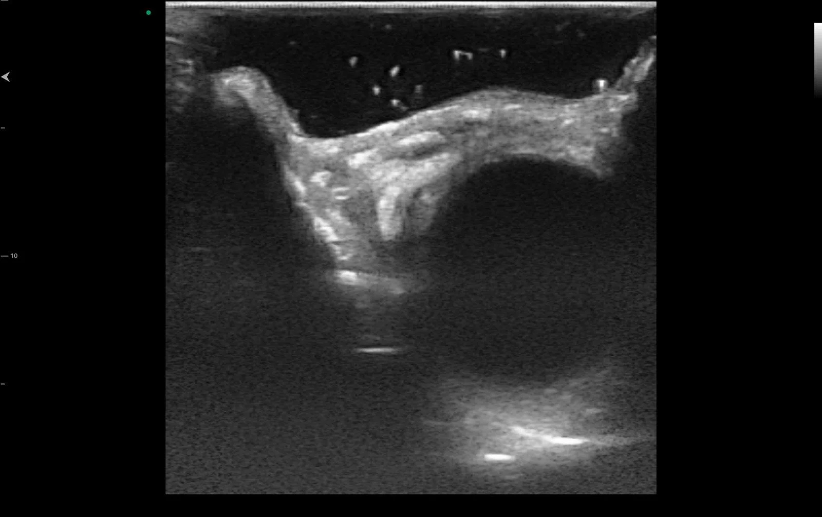 WhatsApp Image 2024-08-26 at 11.31.57 AM (4).jpeg