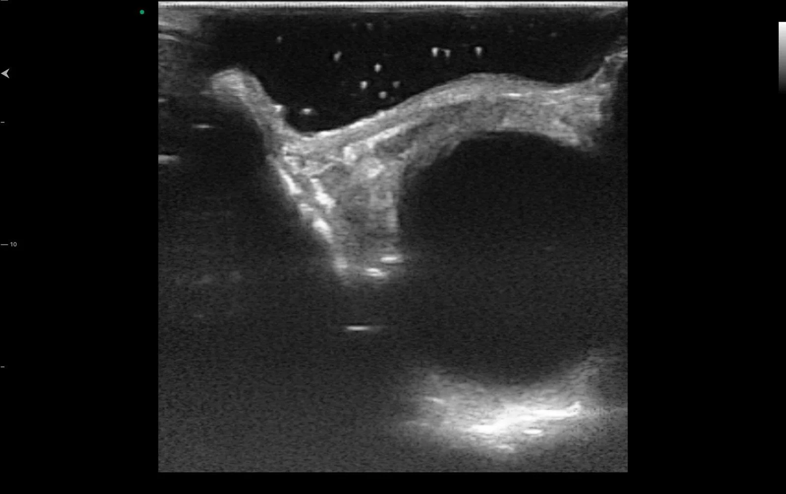 WhatsApp Image 2024-08-26 at 11.31.57 AM (9).jpeg