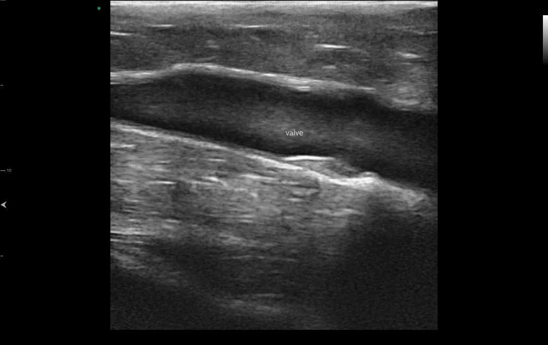 WhatsApp Image 2024-08-26 at 11.40.46 AM.jpeg