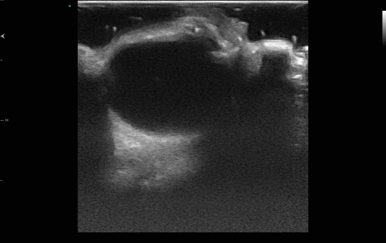 WhatsApp Image 2024-08-26 at 11.31.57 AM (8).jpeg