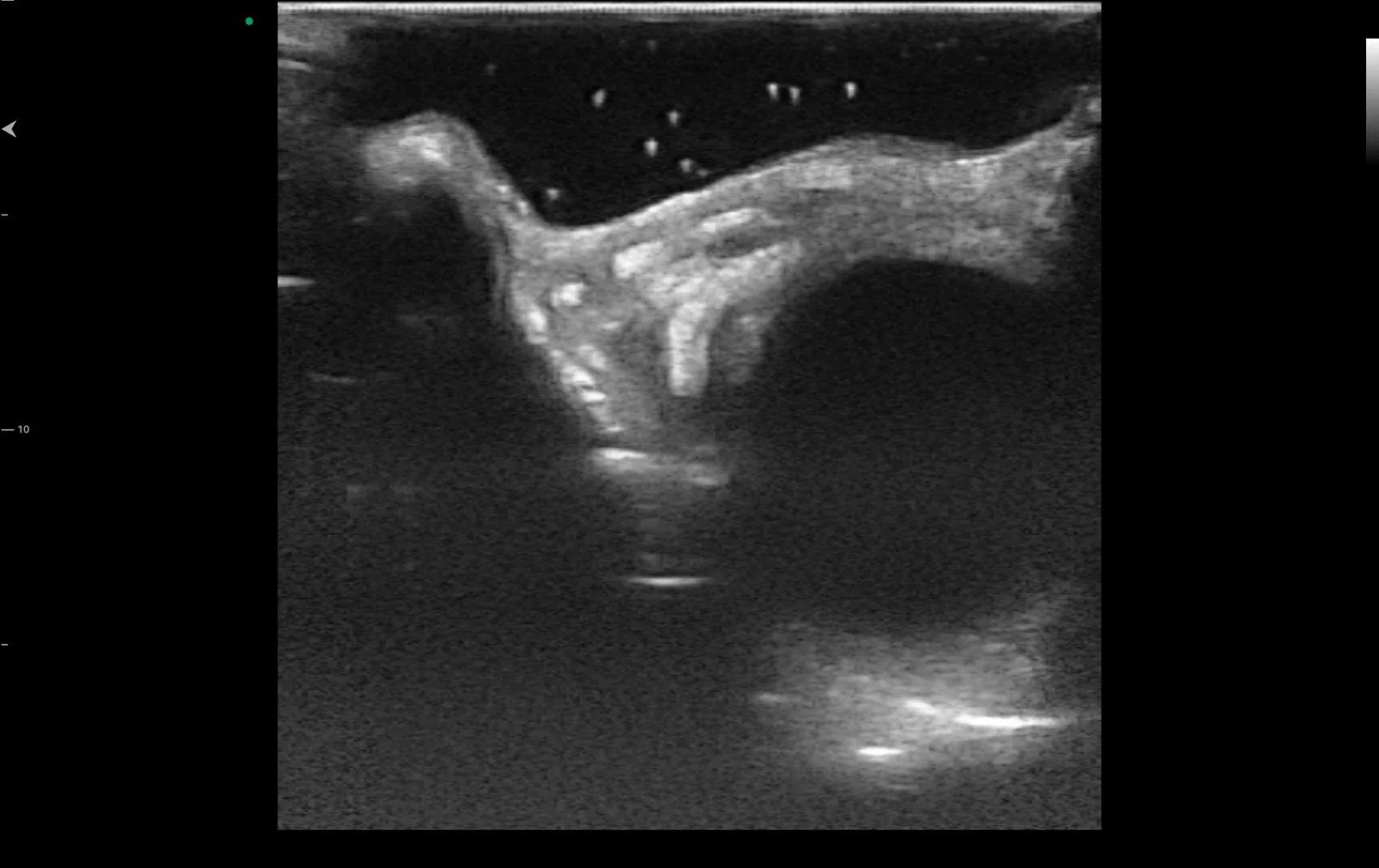 WhatsApp Image 2024-08-26 at 11.31.57 AM (6).jpeg