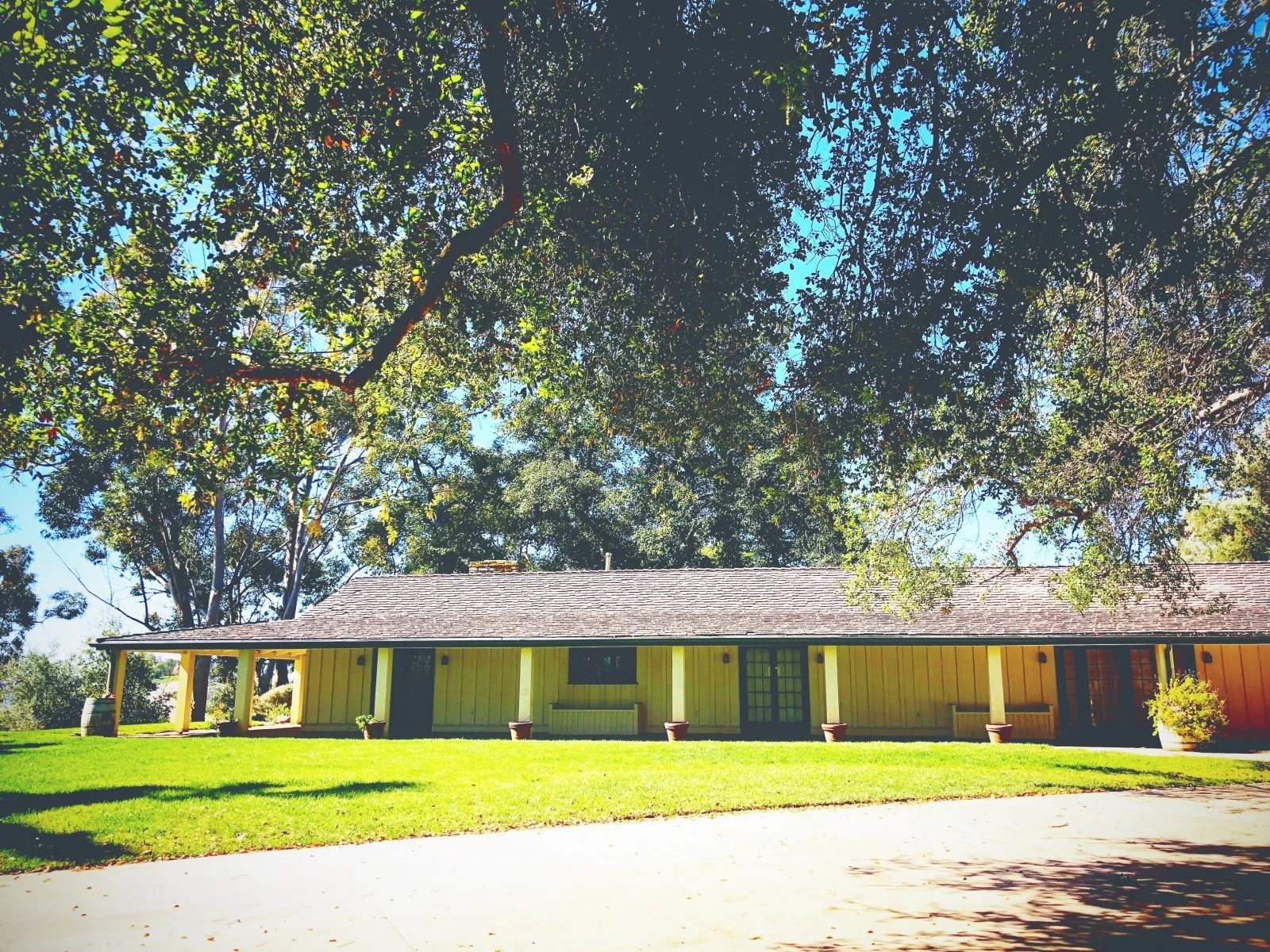 Leigh-Tran-ranch-house.jpg
