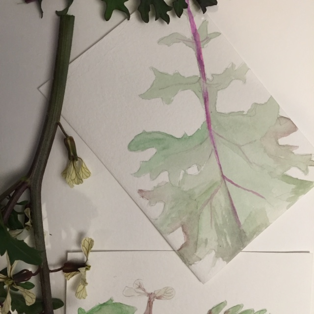 kale watercolor.JPG