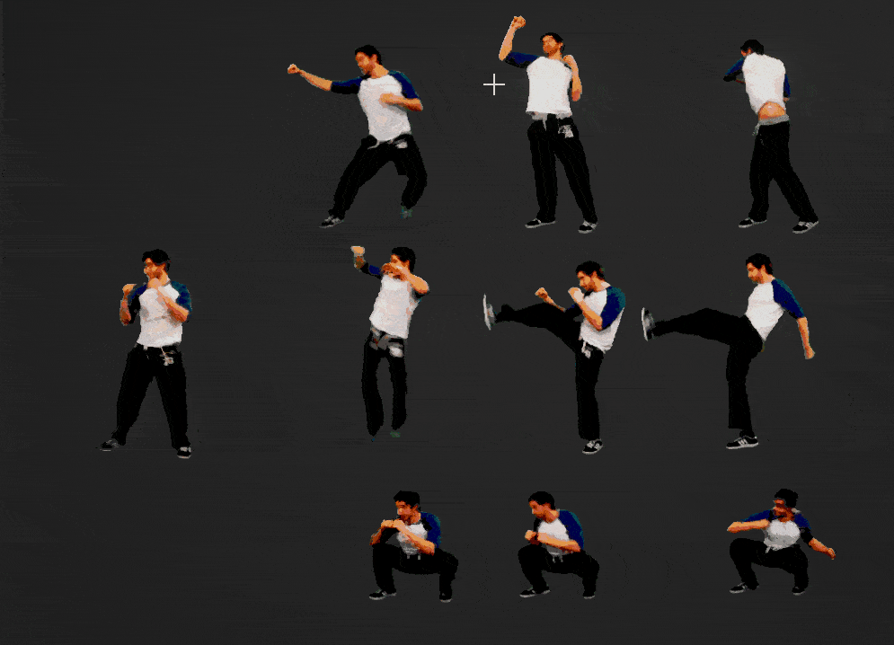 JamesCombatMoves_Gif.gif