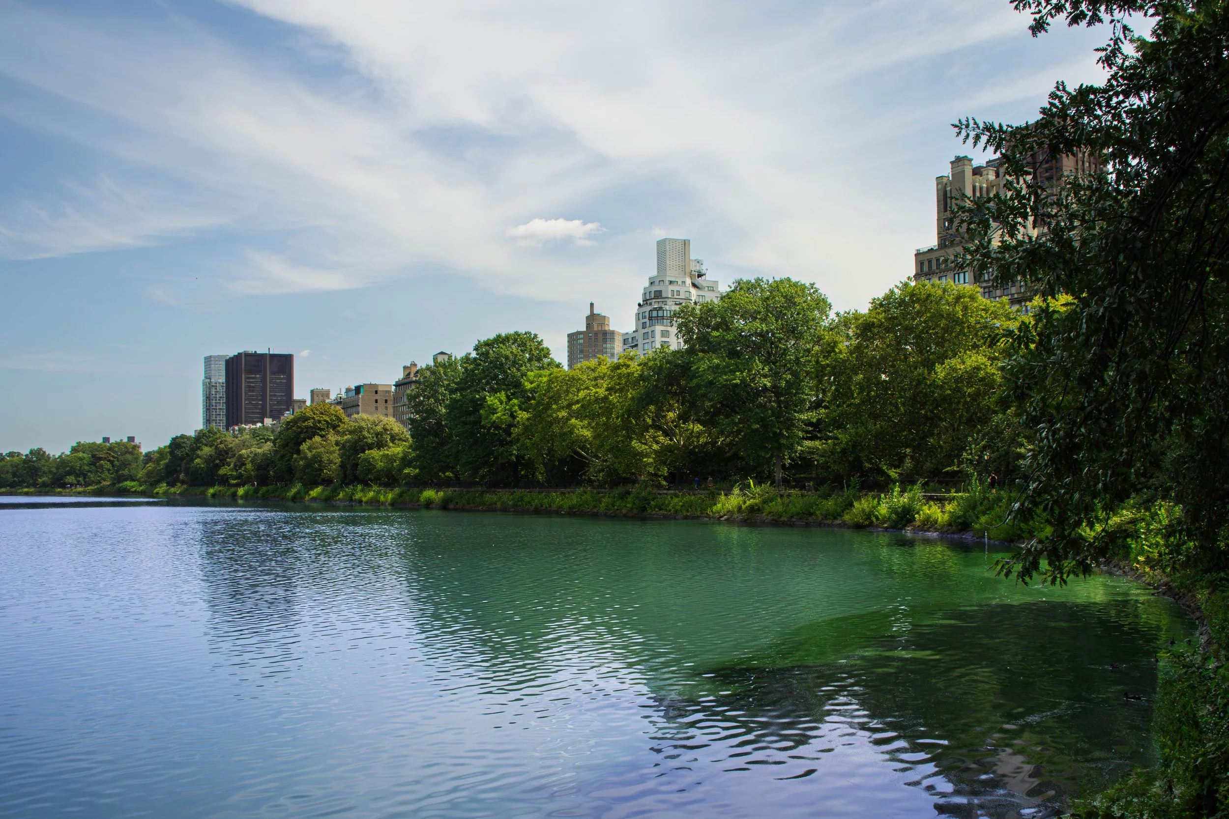 nyc-central-park-kubasko-photo-walk-8-14-35.jpg