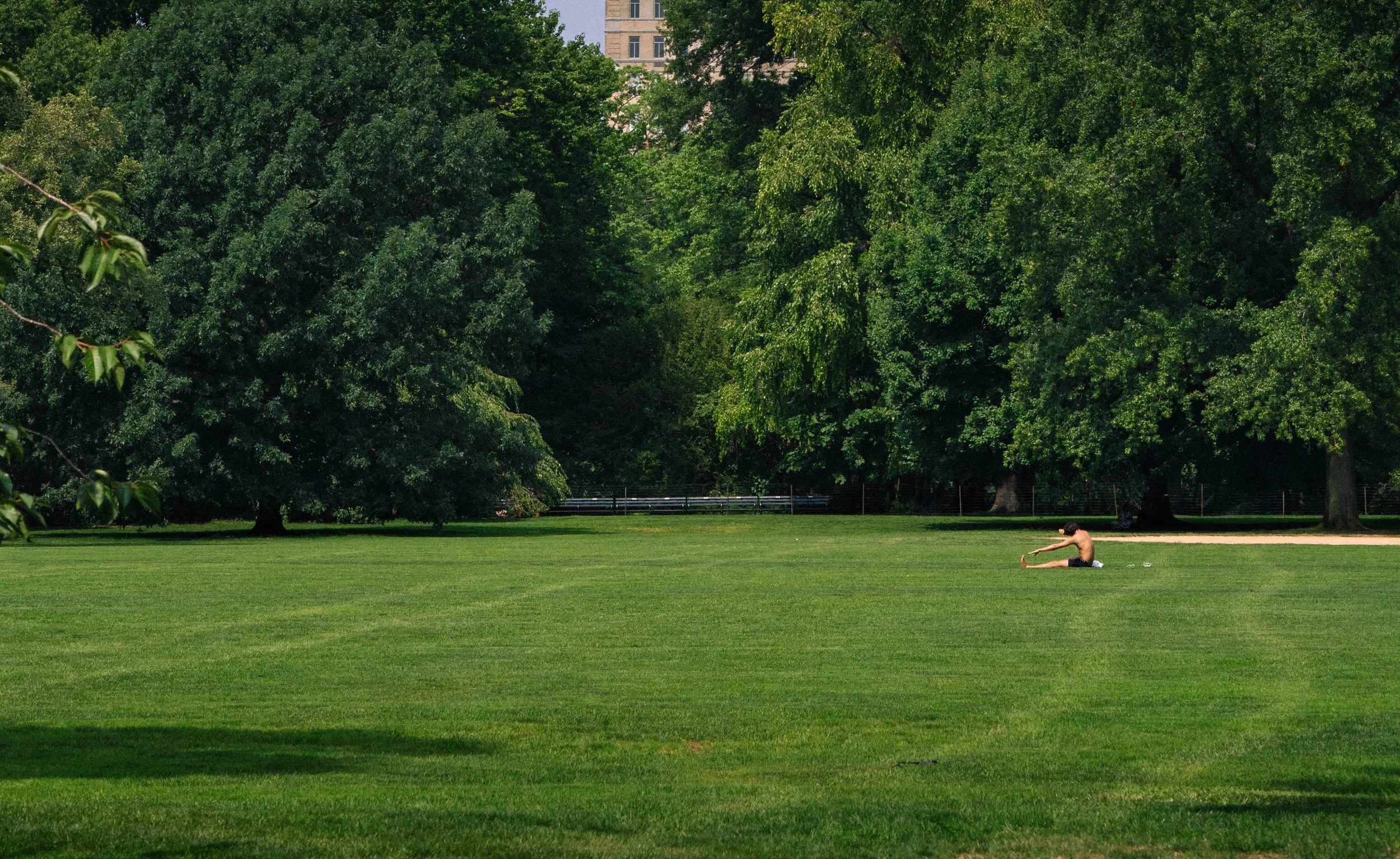 nyc-central-park-kubasko-photo-walk-8-14-43.jpg