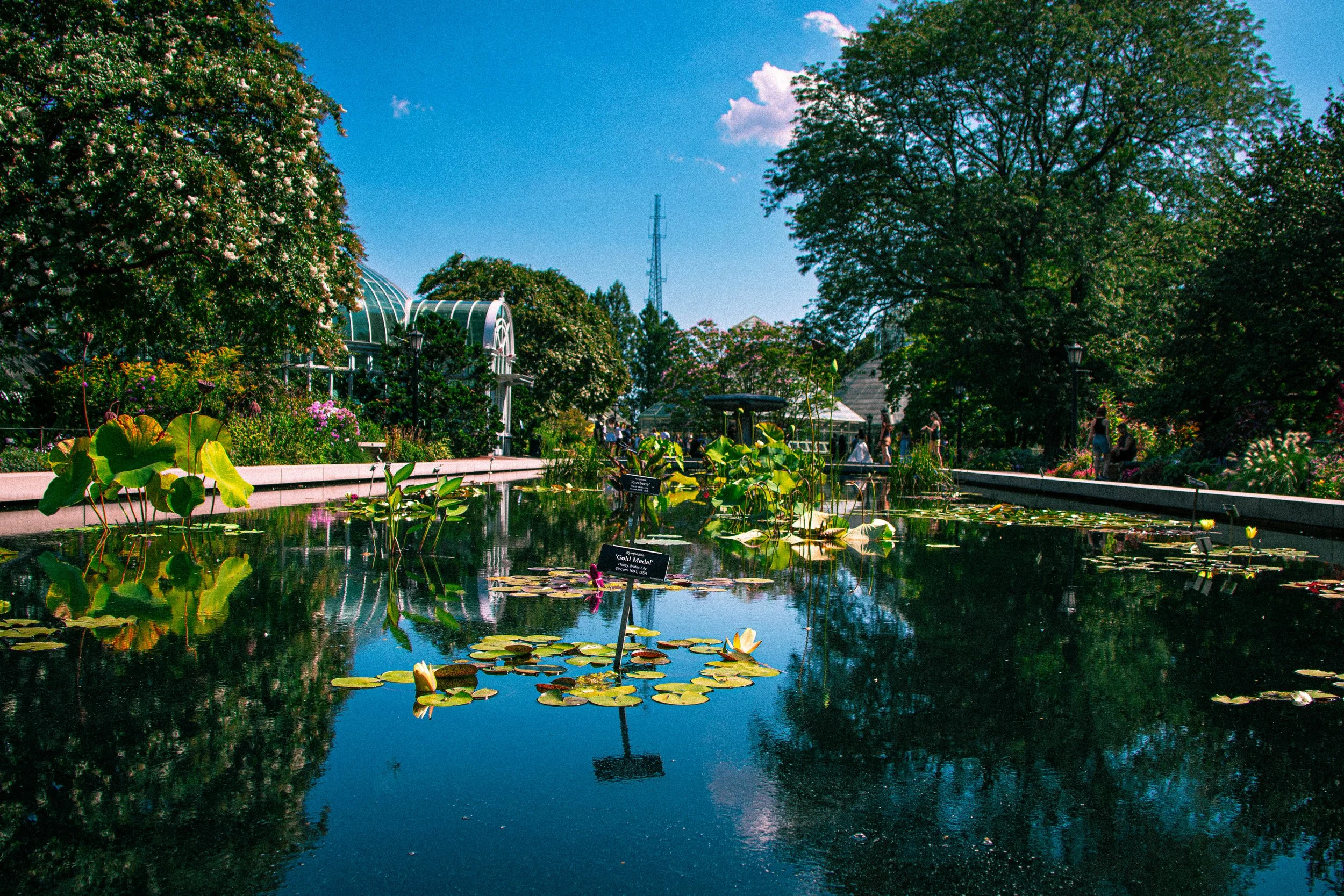 nyc-brooklyn-botanic-kubasko-8-15-66.jpg