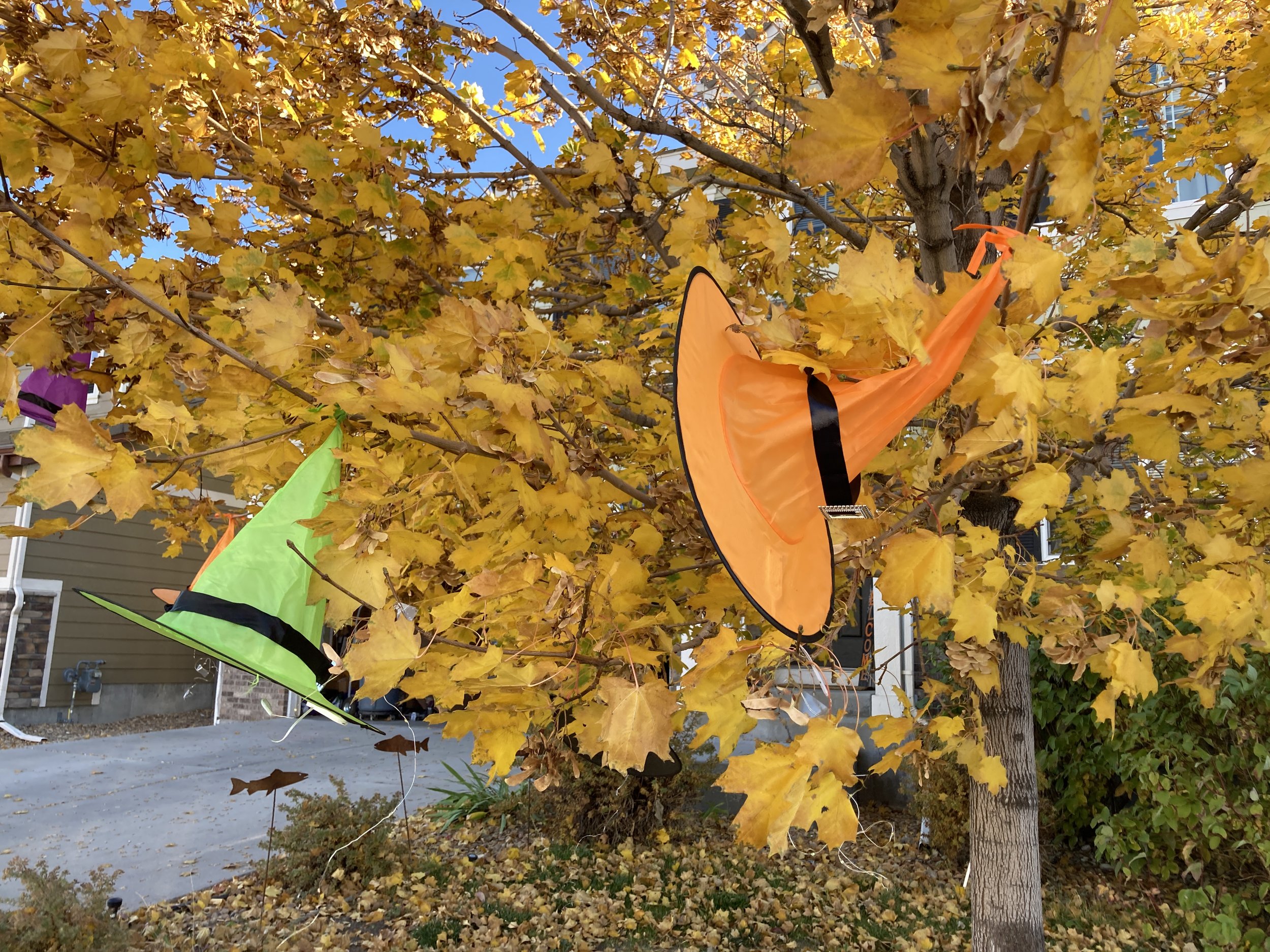 [Newsletter] The missing ingredient in your story