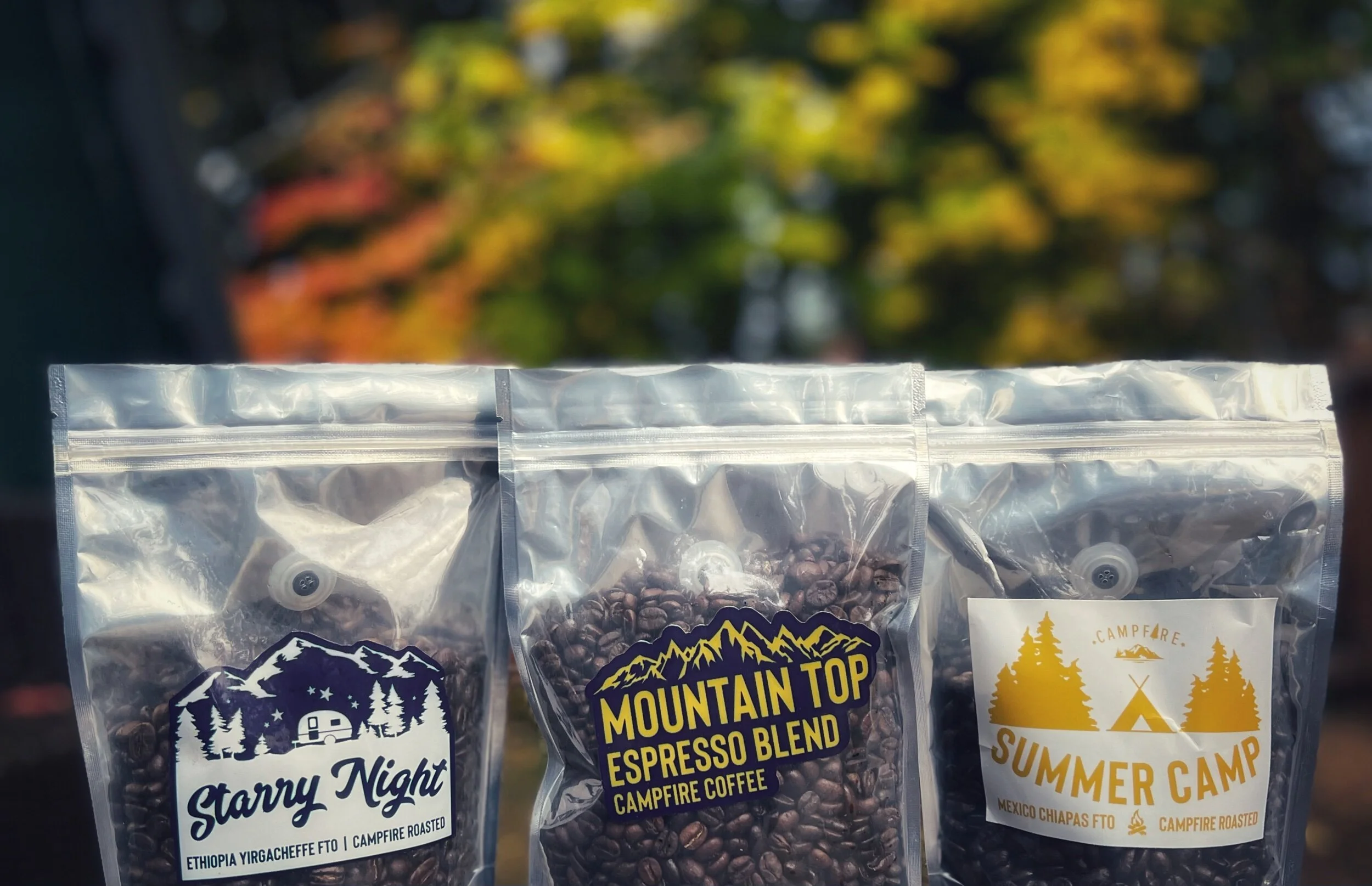 E7F64024-6ED5-4973-89DA-A12C80D97574