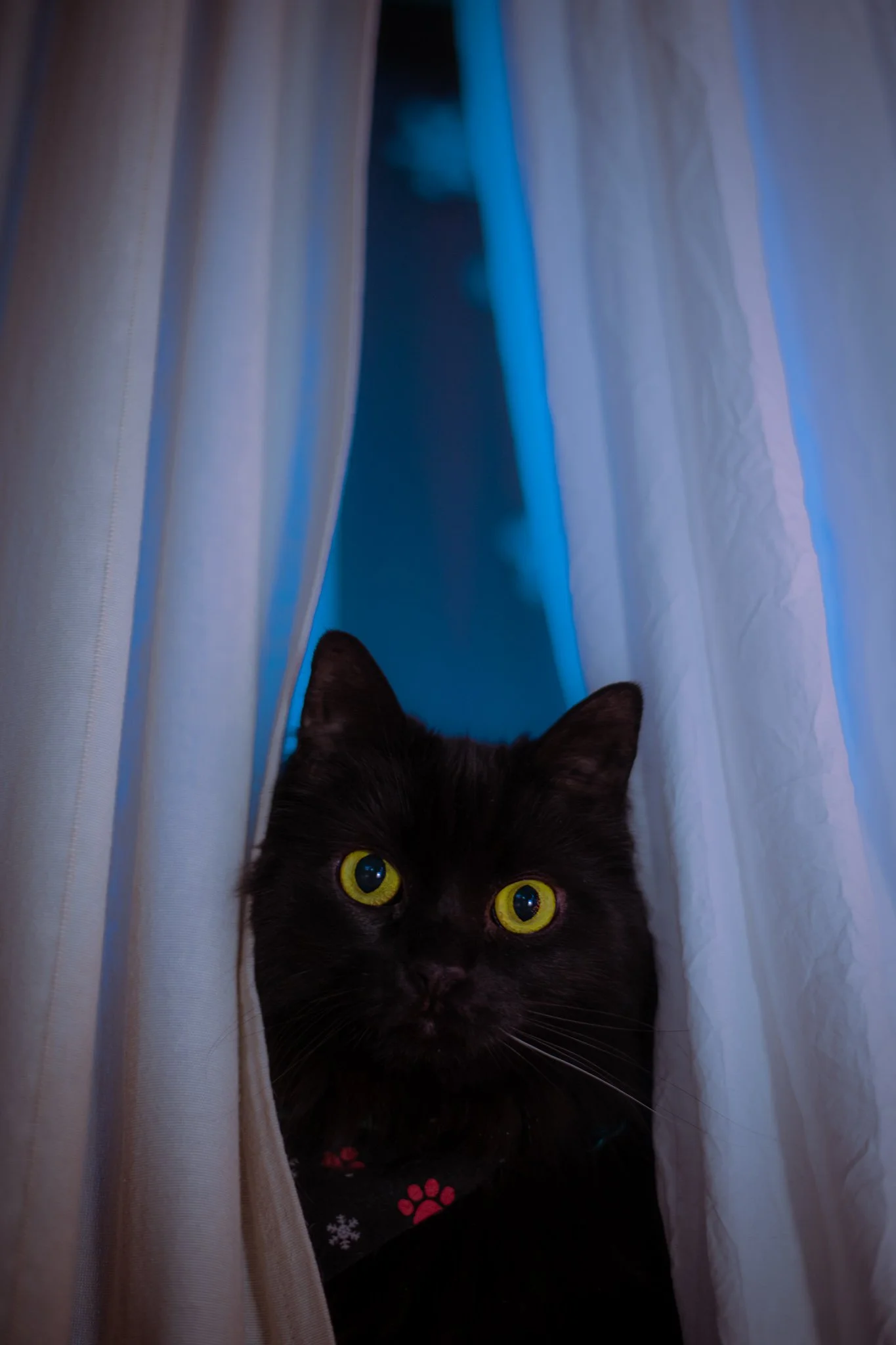 DSC_0318.jpg