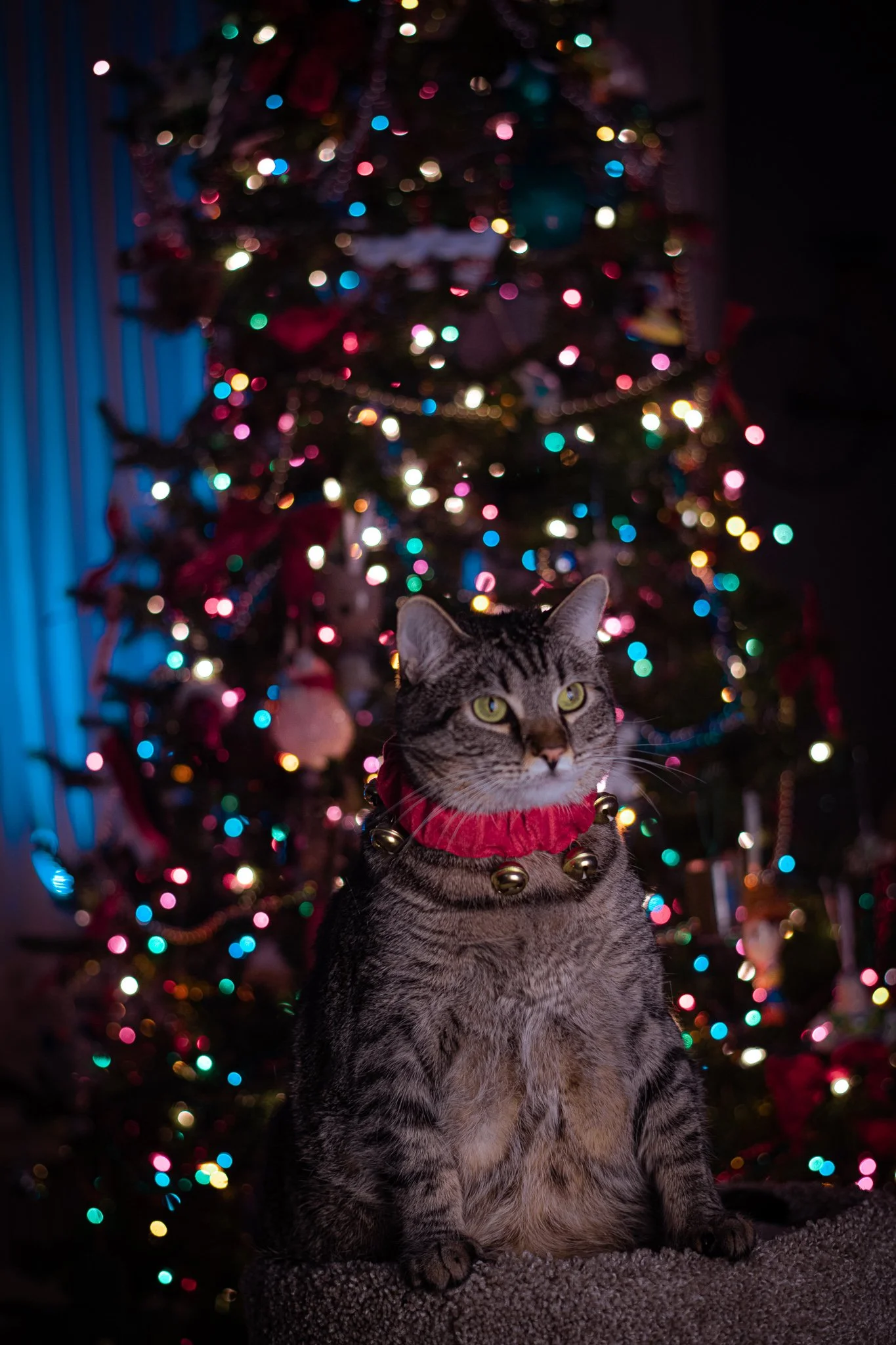 DSC_0518.jpg