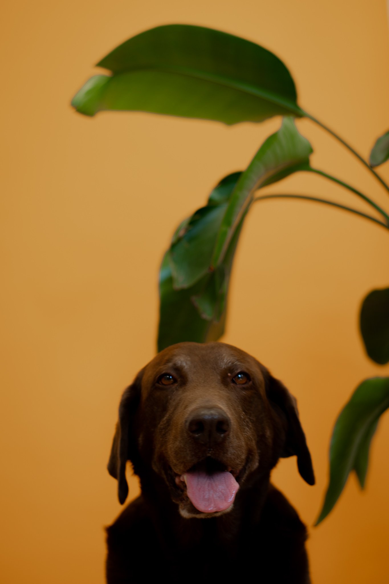 DSC_2055.jpg