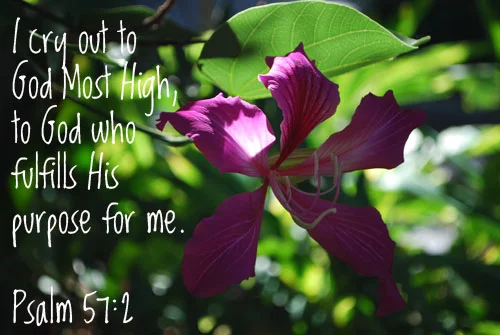 A Sunday Thought for September 27